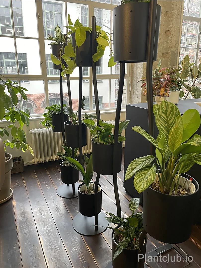  Natural partitions for a fresh entrance 