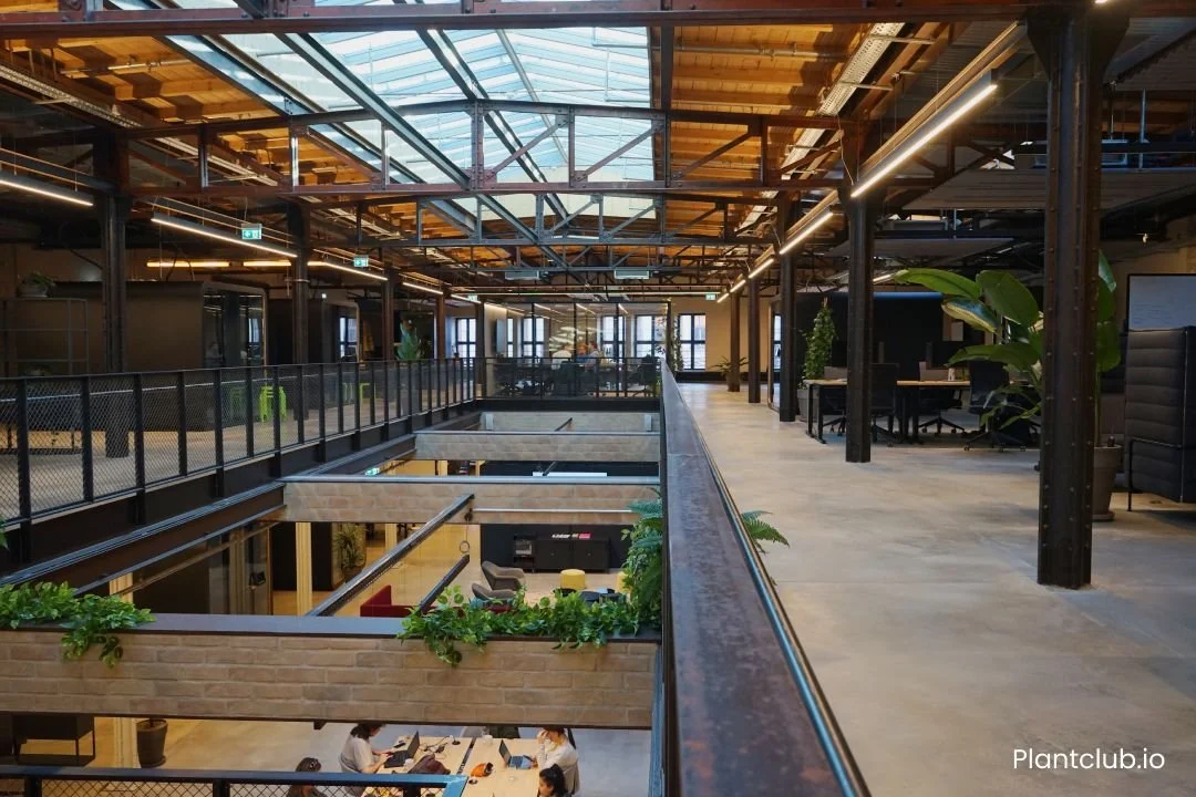  Plants were used to create warmth in the industrial workspace. 