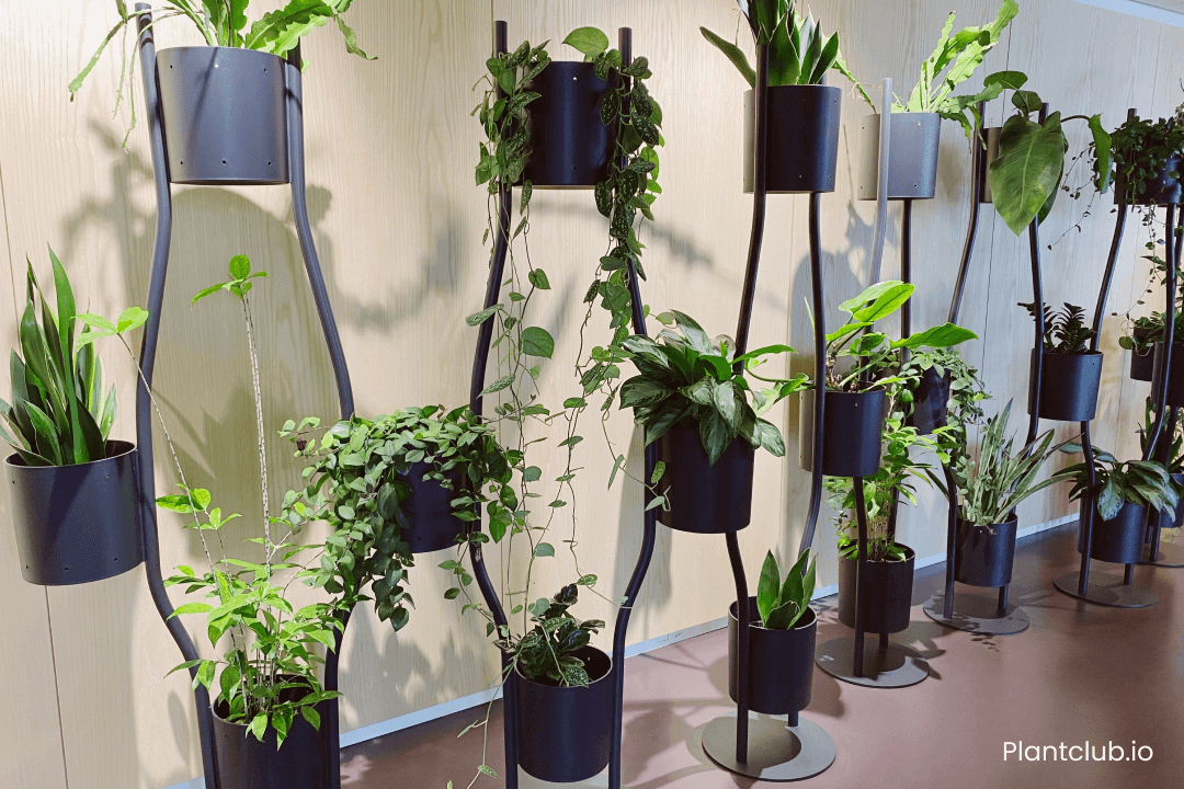 Paravert planting system at the Cushman & Wakefield office in Berlin