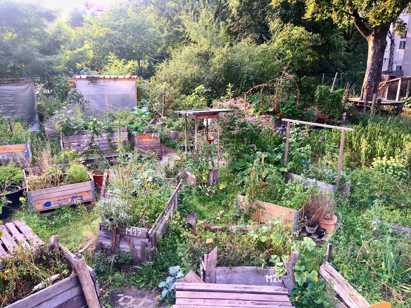  Urban gardening in Berlin is as much about community as it is about plants. 