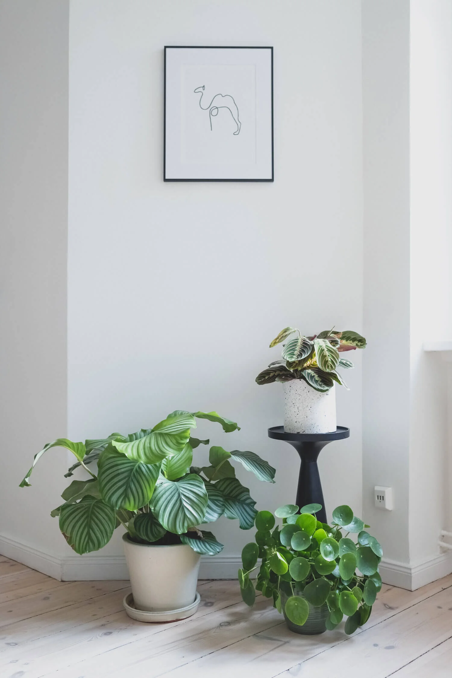  Plants play a crucial role in human-centered design. 