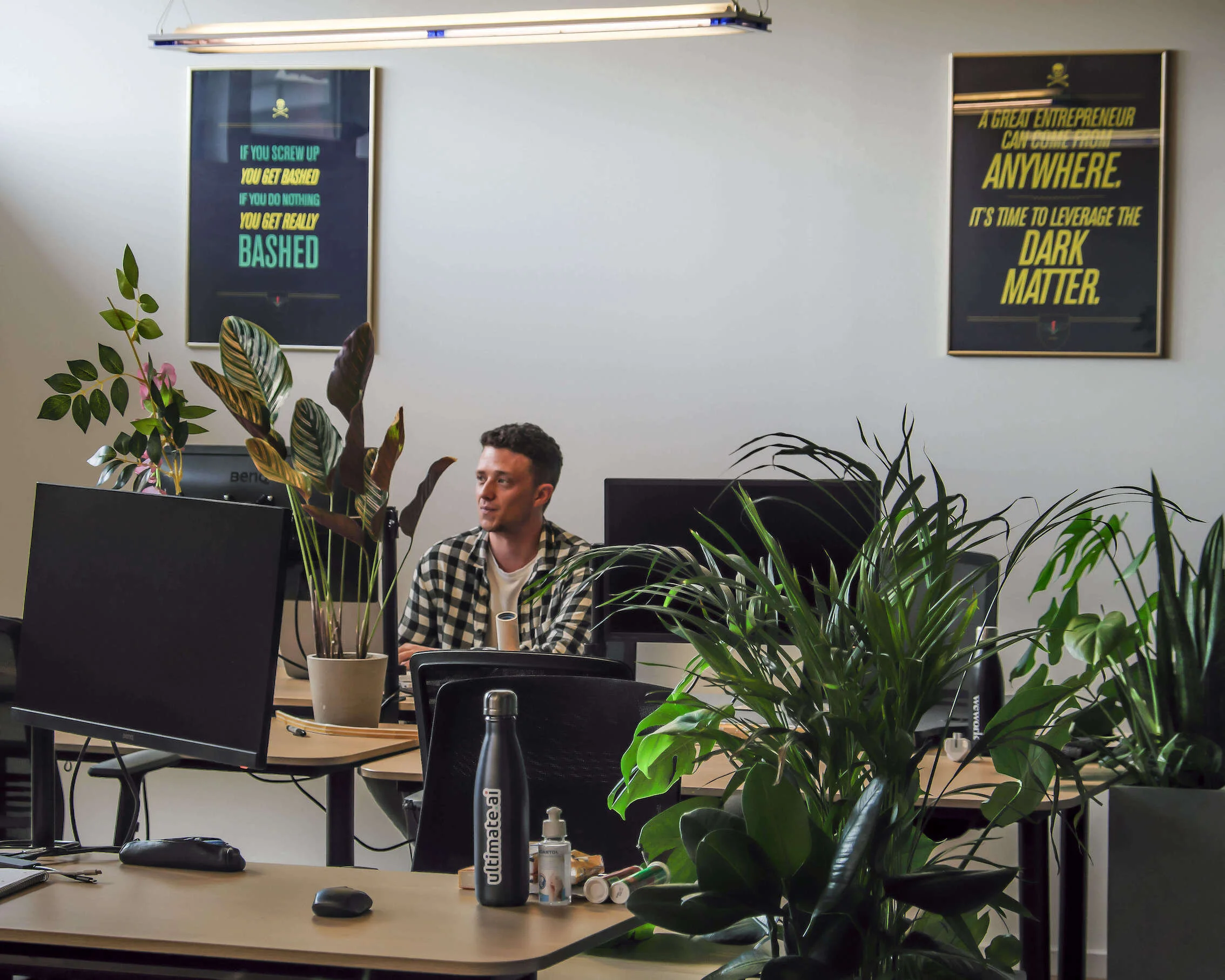  Desk-side planters give a really nice green divide. 