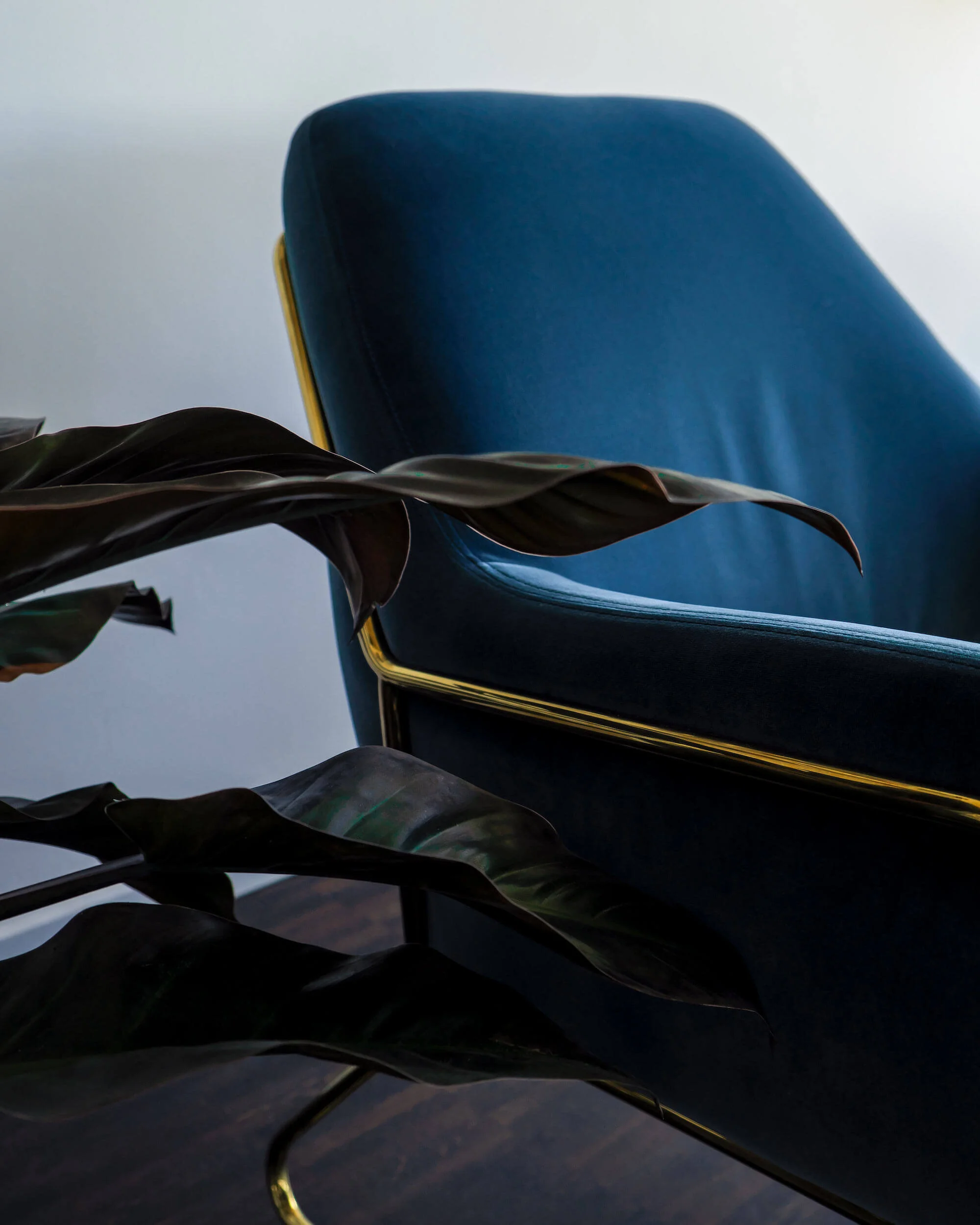  We love the combination between the leaves of this Philodendron and the velvet of the chair. 
