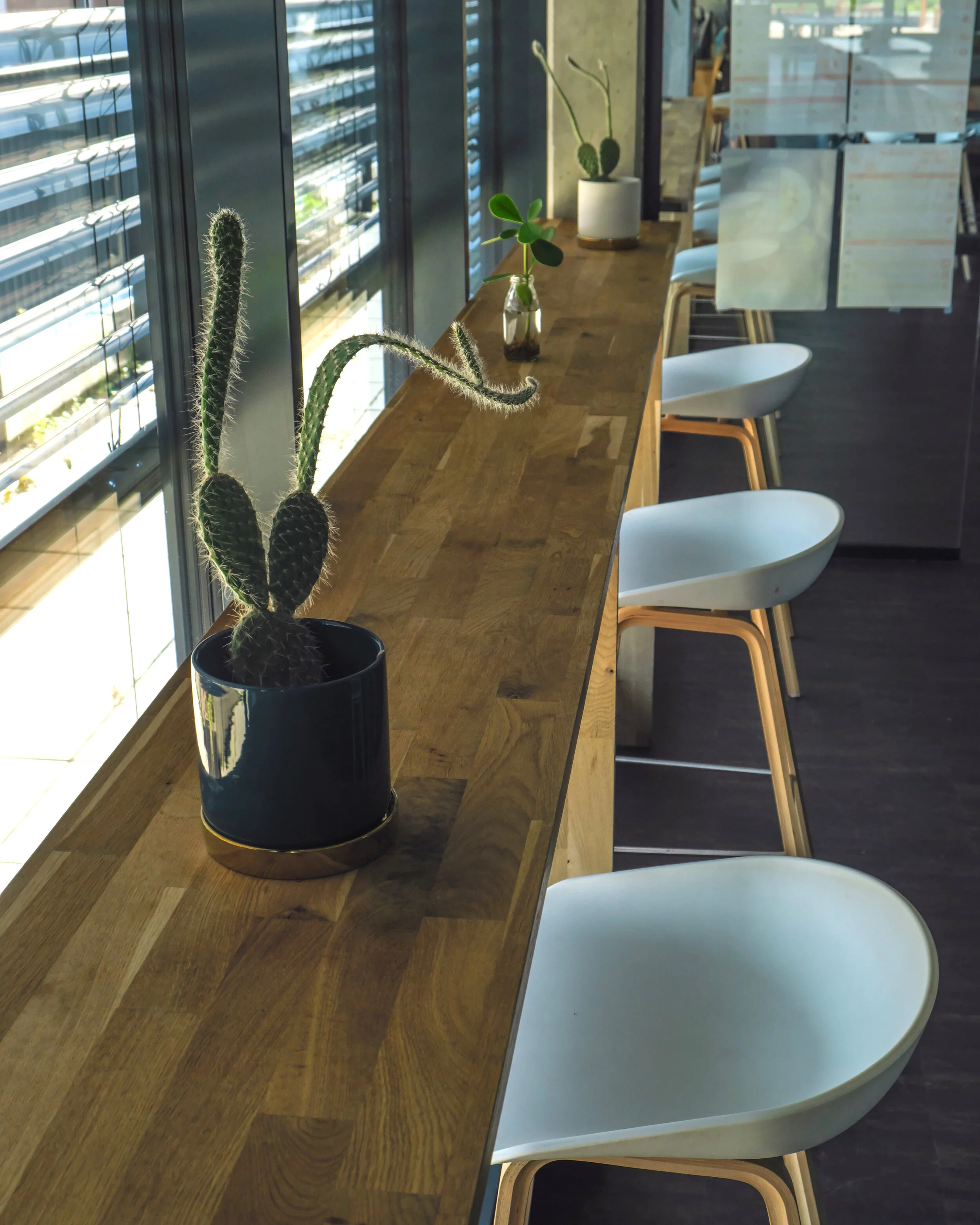  Plants ensure social distancing by signal blocked spaces at the Bonial office in Berlin. Photo by Riccardo Contrino 