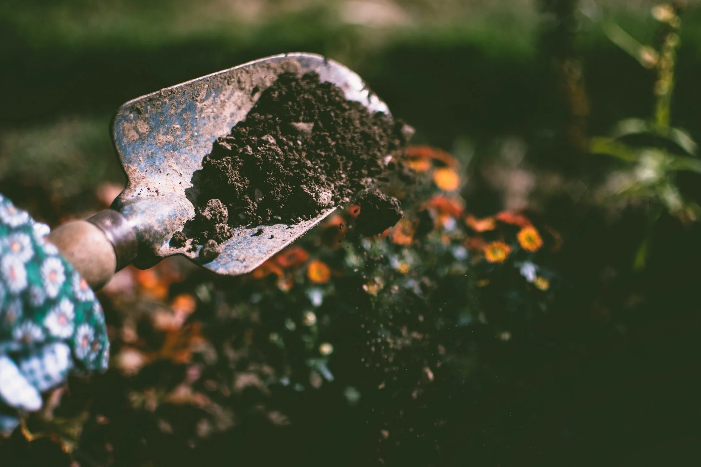  What works for your plants outside, might not be the best choice for your green friends indoors. 