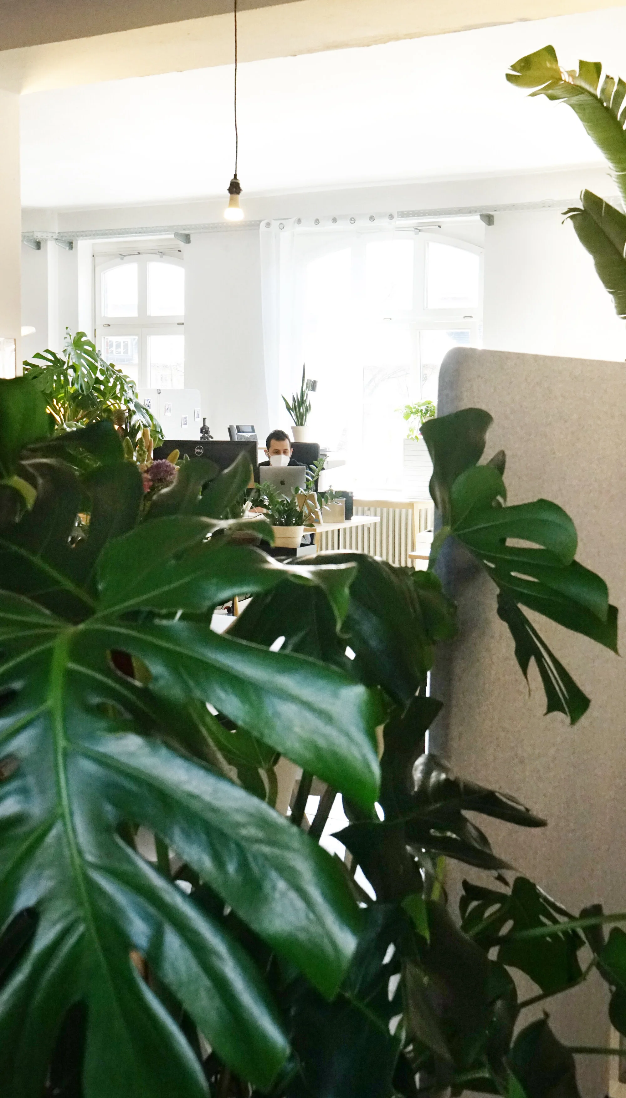  Who can spot the employee in this jungle? 🌴 