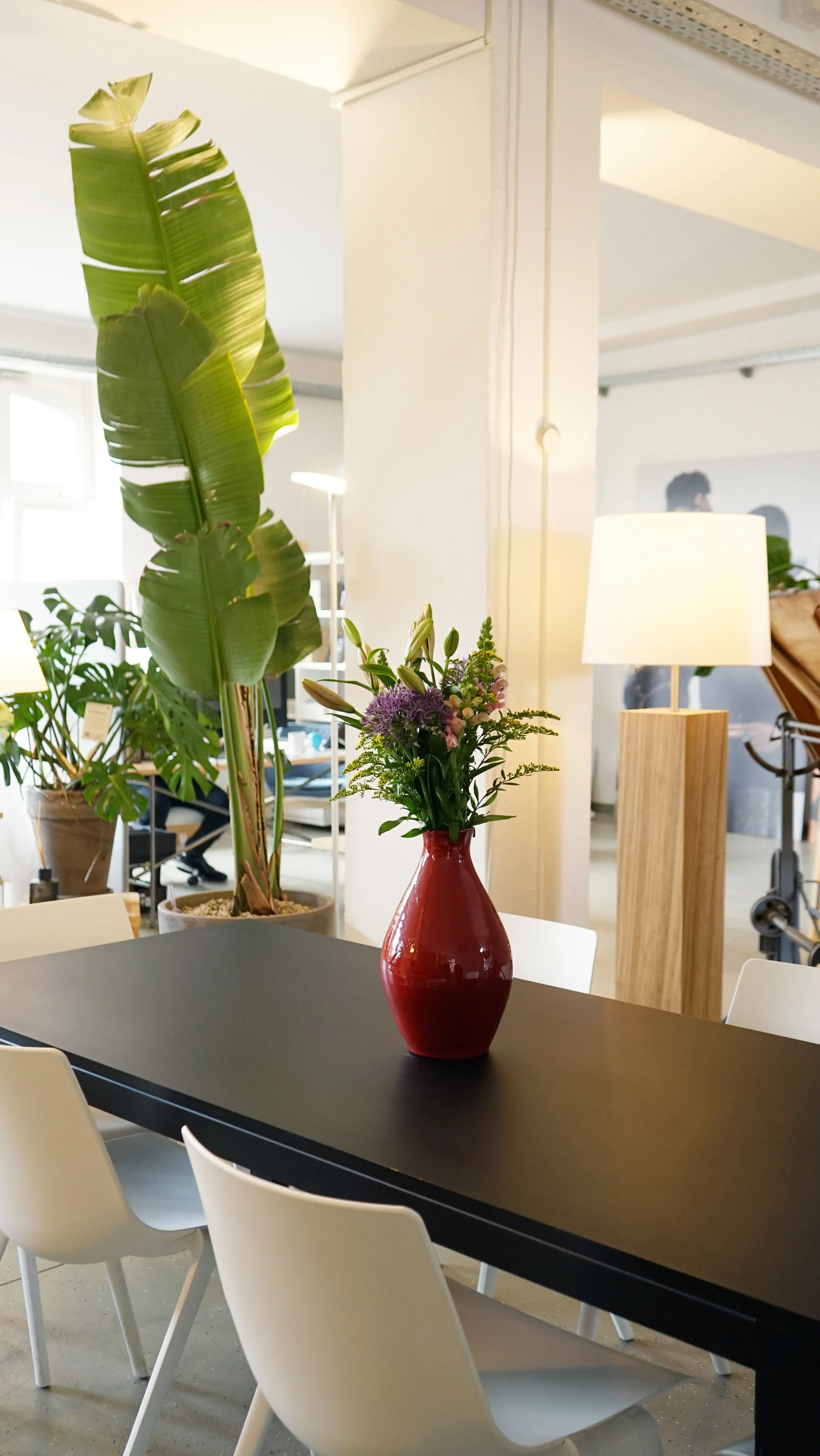  Big plants help divide the office into different areas. 