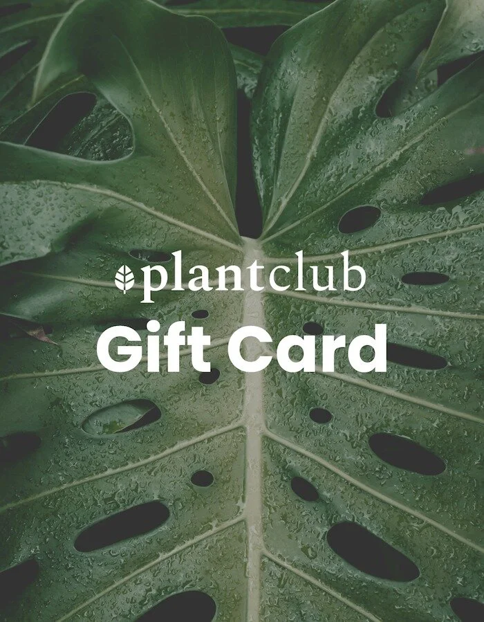  Find  digital gift cards  in the Plant Store.  