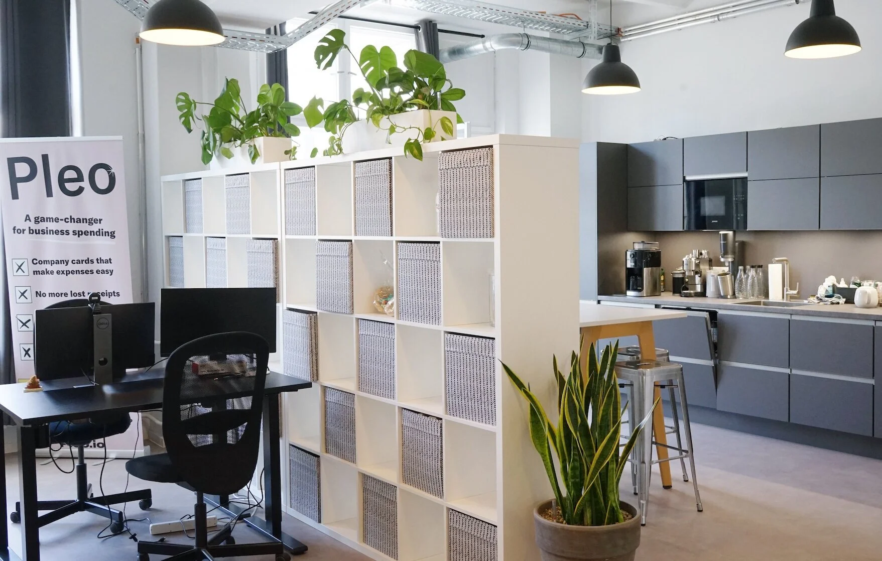  We used a mix of standing plants and greenery installed on exisiting structures. 