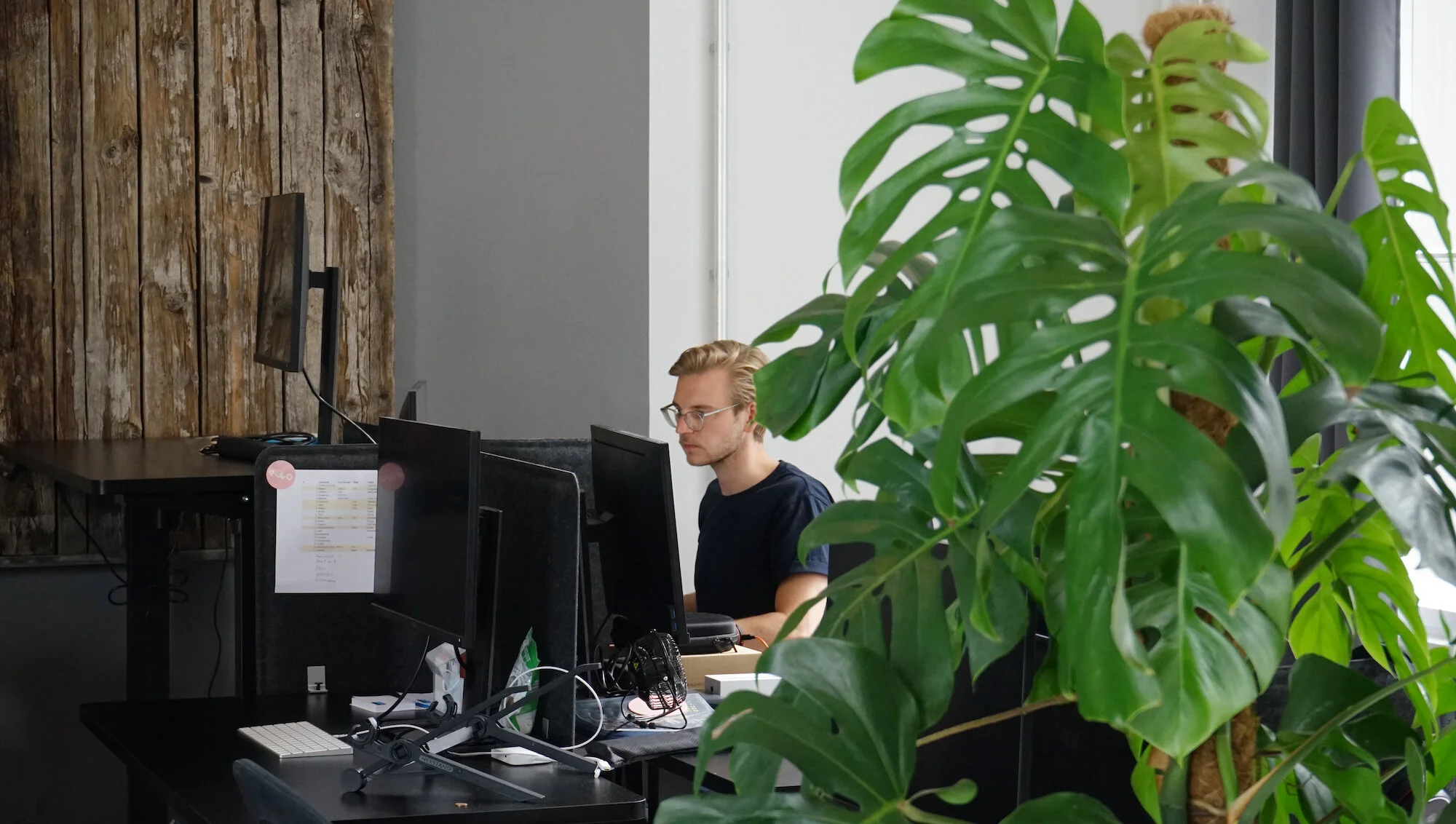 Green workplaces: Pleo