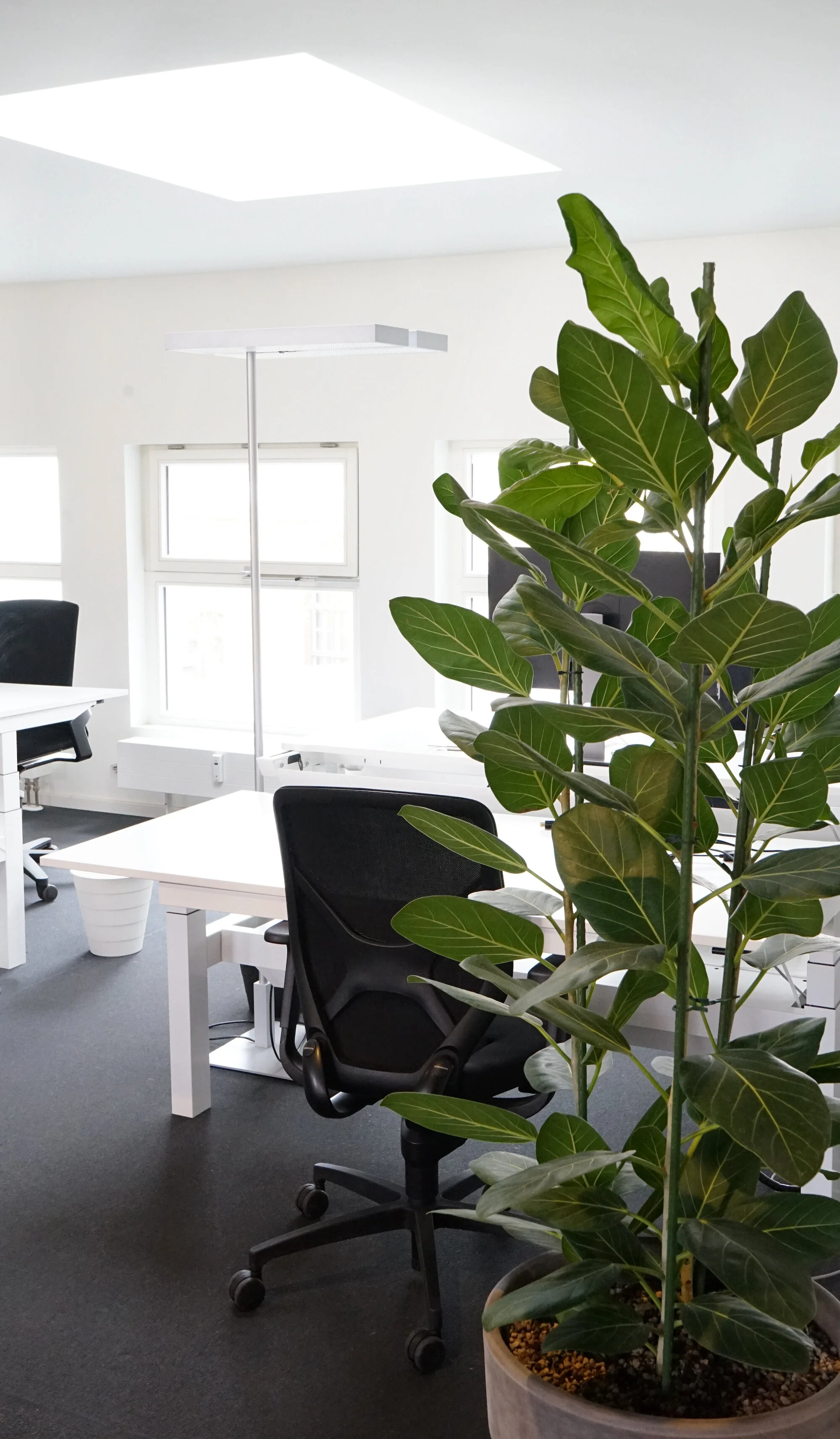  Clean, organised and green: the work spaces at Moss. 