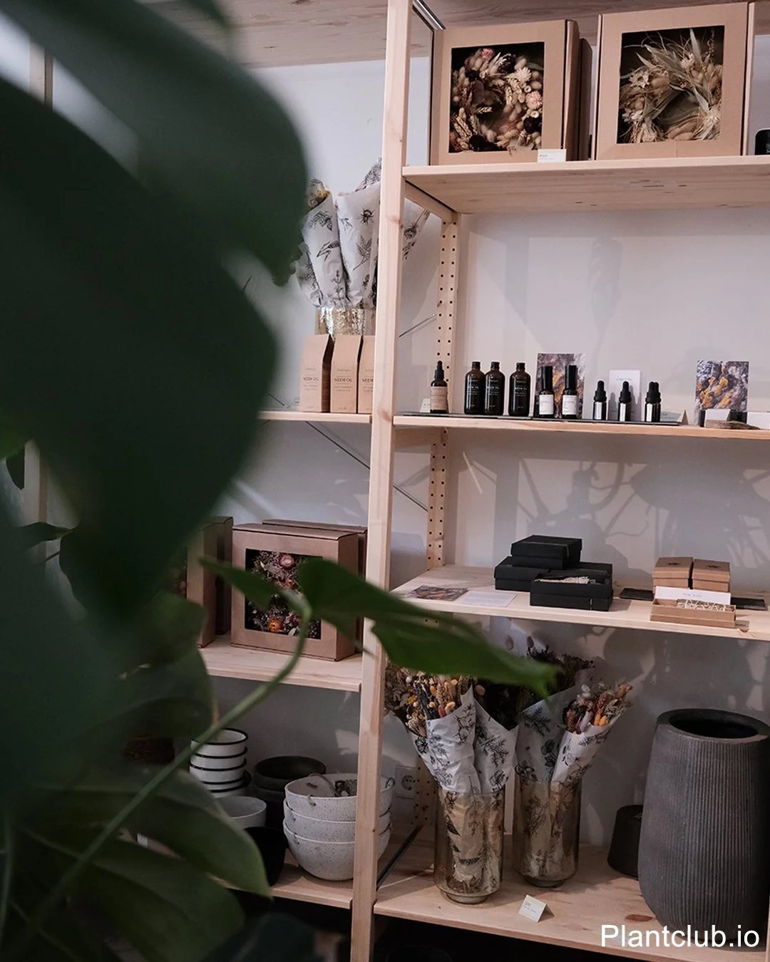 Selection of botanical products and scents on a shelf