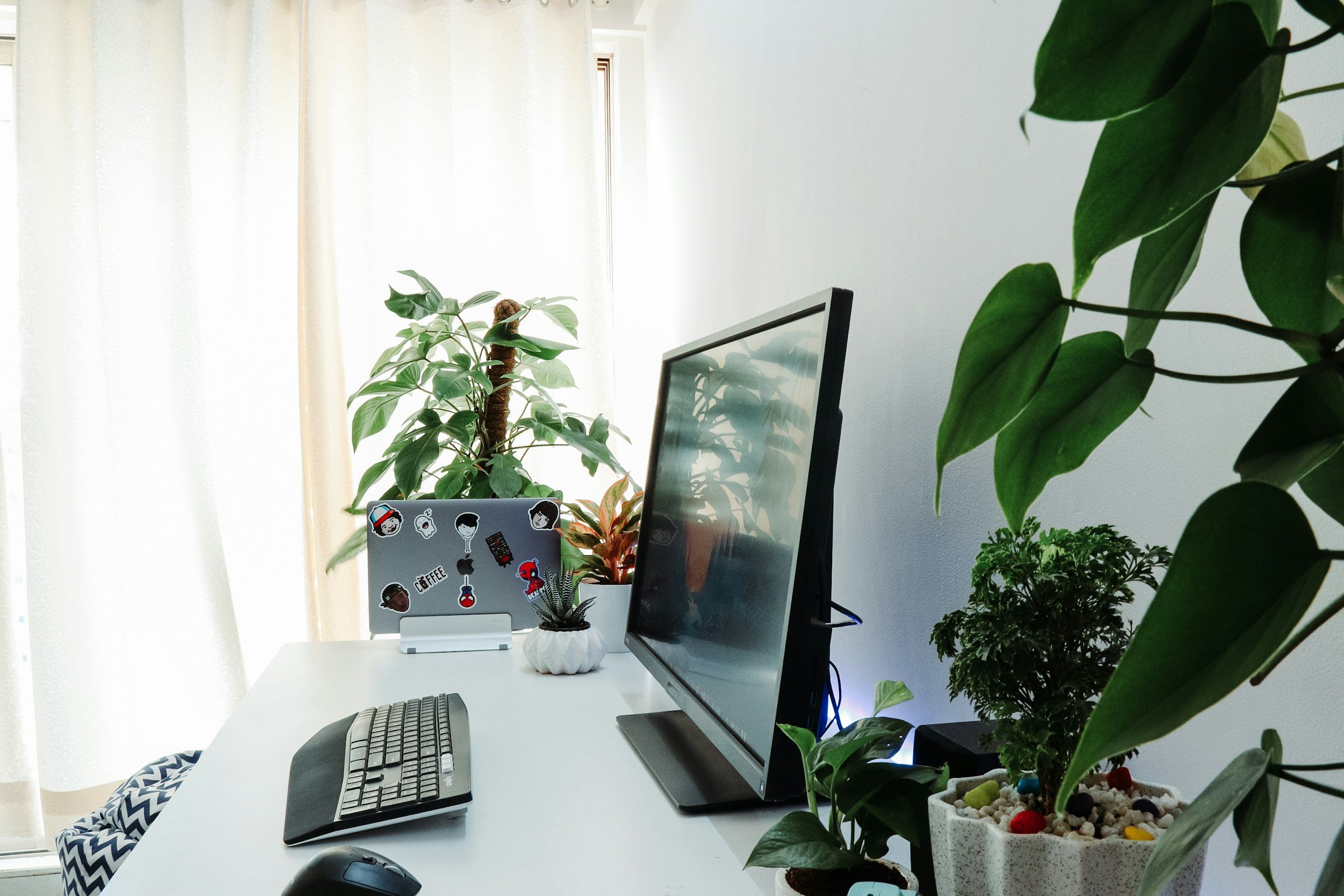  Much nicer to look at greenery than a white wall, right? 