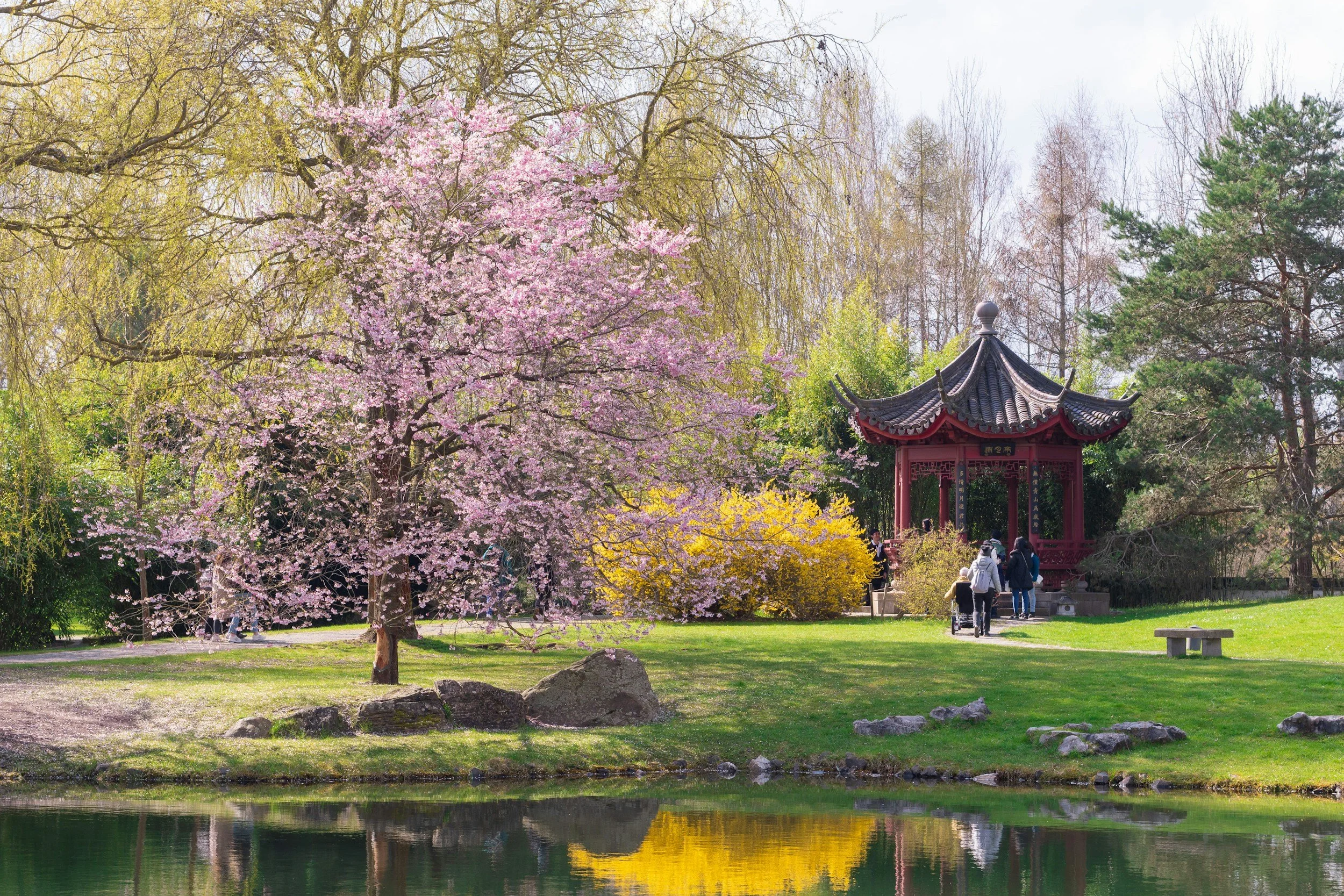  The Chinese garden is just one of many themed gardens at Gärten der Welt. 
