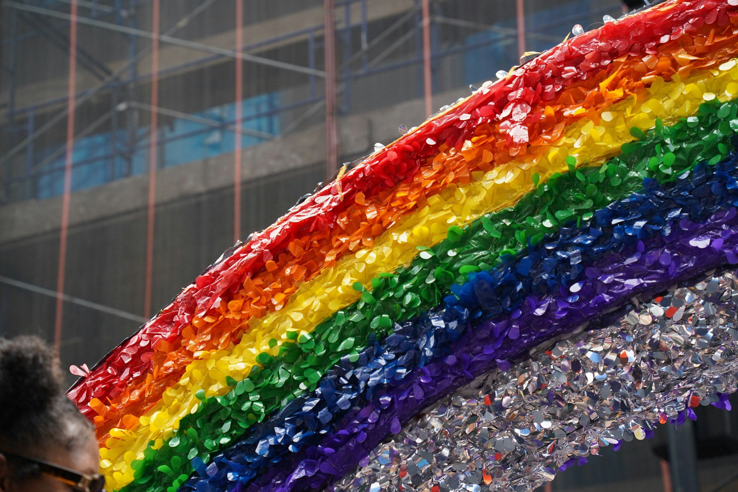  The rainbow Pride flag. 