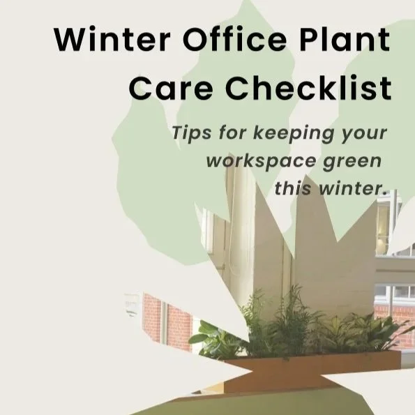 🪴 Winter Office Plant Survival Guide: Keep Your Workspace Green