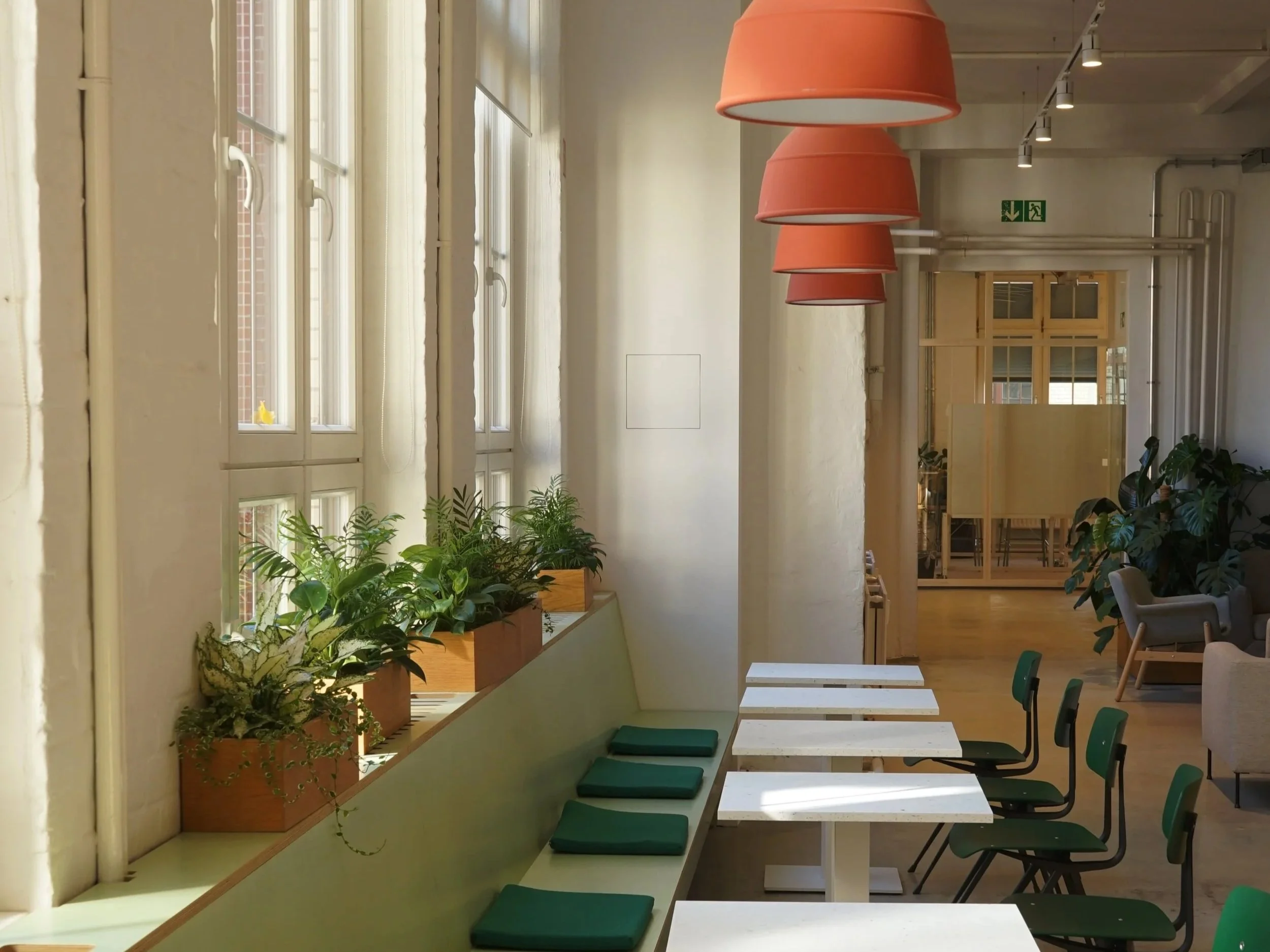 🪴 Winter Office Plant Survival Guide: Keep Your Workspace Green