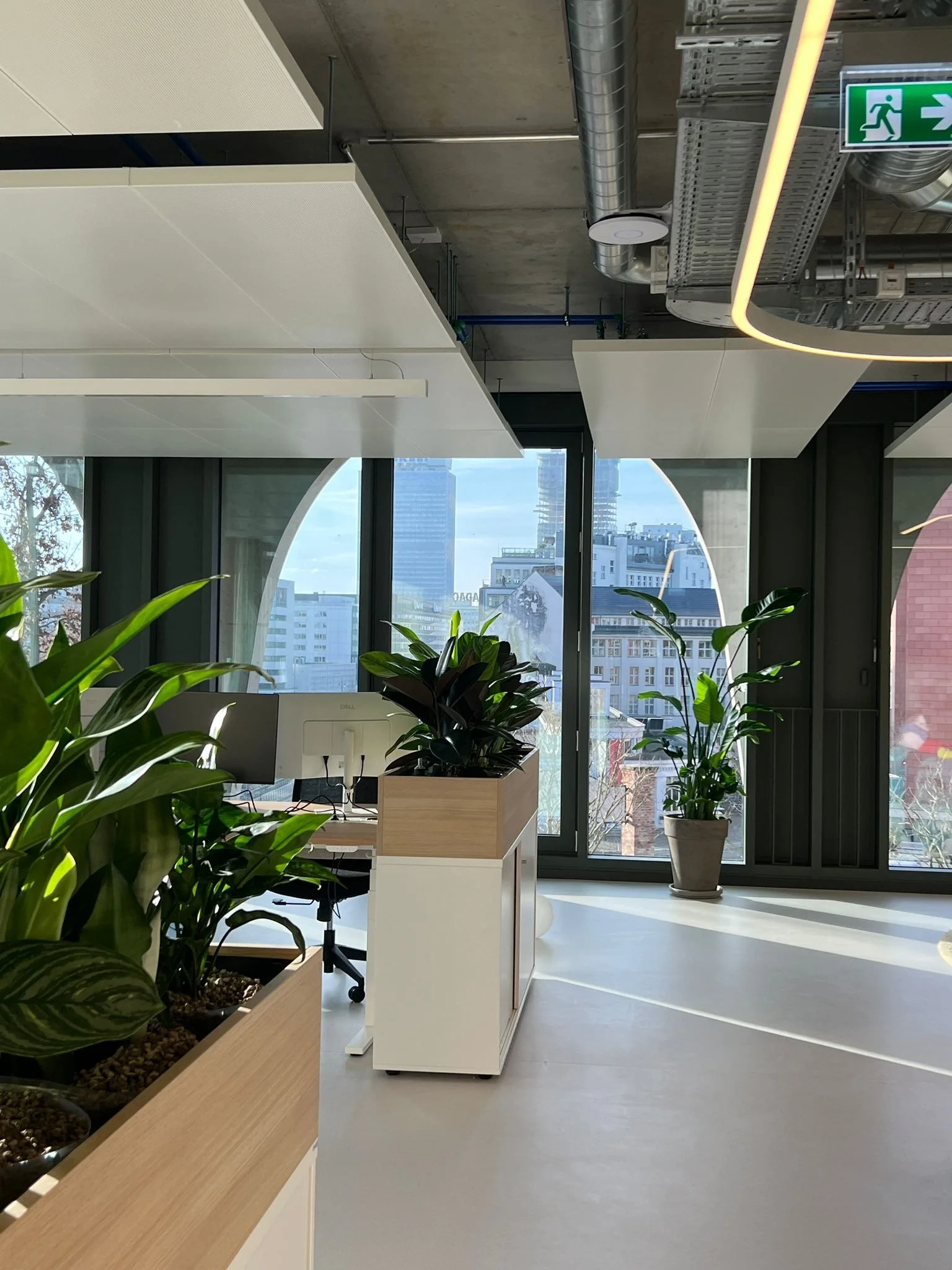 Workplace Planting Systems 2026: Integrated Office Planting That Lasts