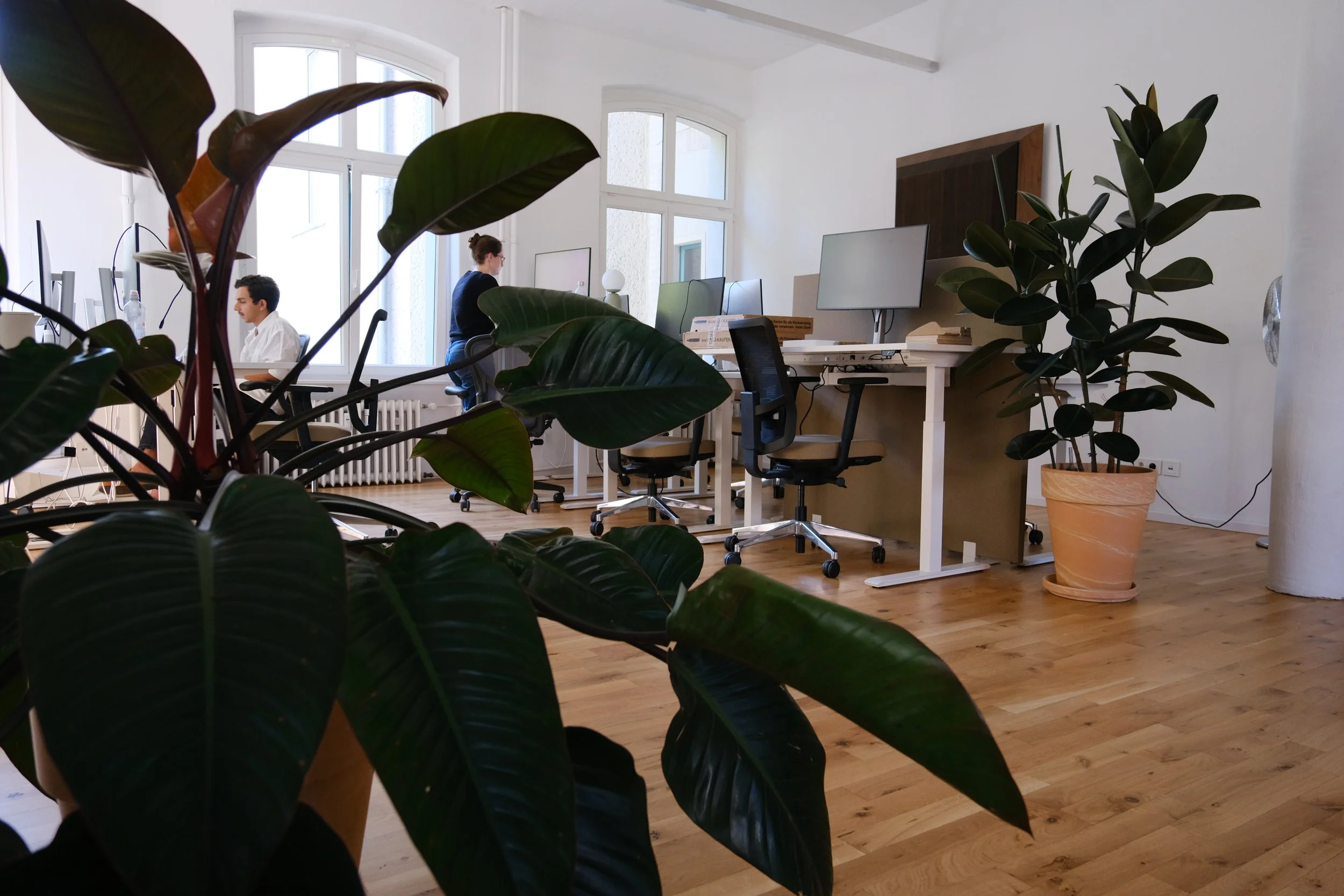 Green Branding in the Office: How Plants Increase Employer Attractiveness