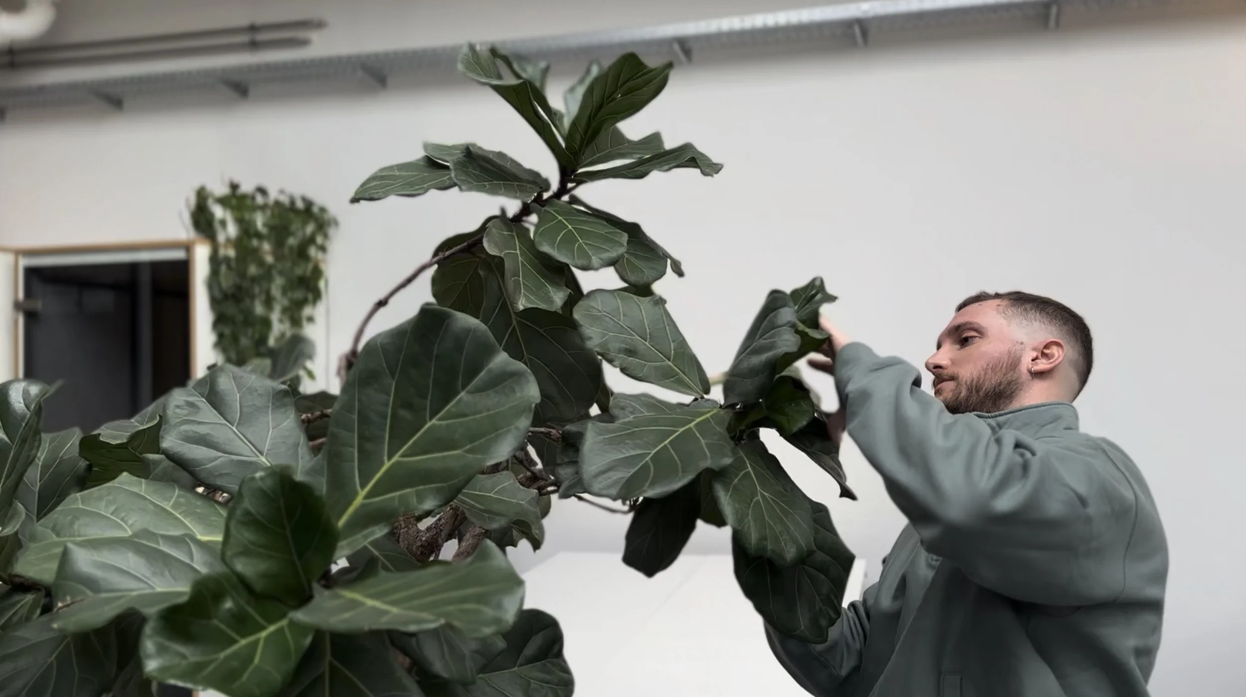 Meet The Team: Ermis - Managing a Living Inventory at Plantclub