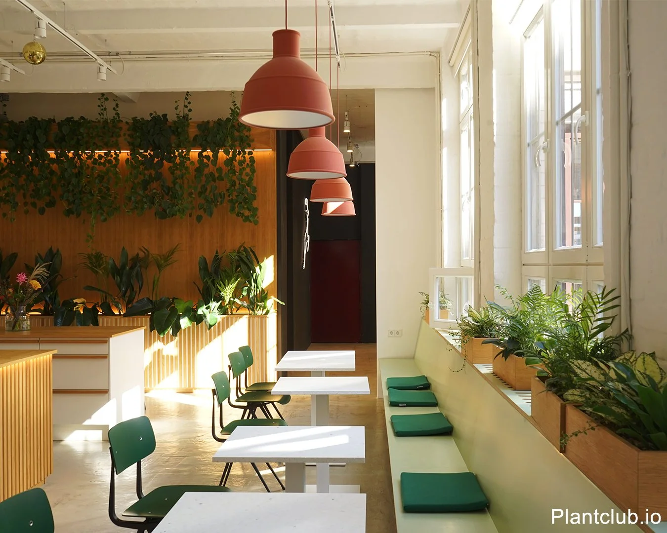  Light and shades come together for a fresh vibrant vibe 