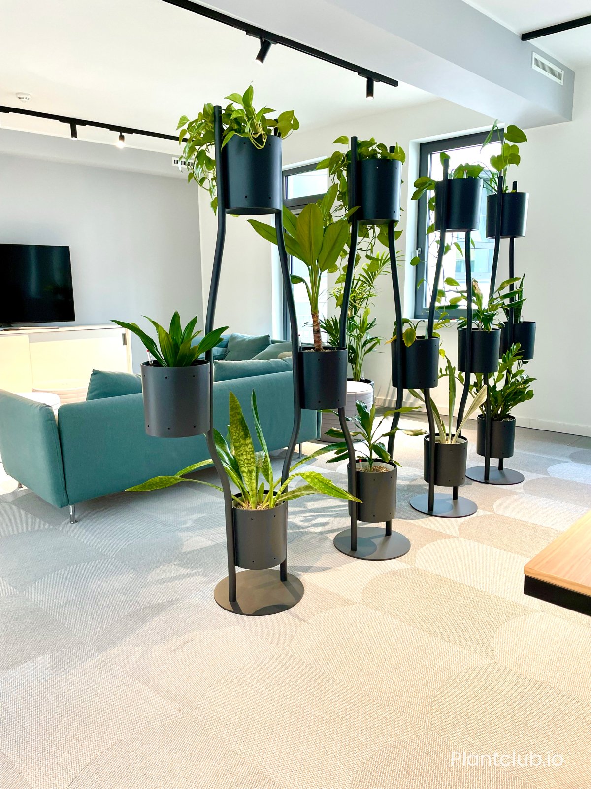  Para Vert planters save space and give opportunities for plants to hang or climb. 