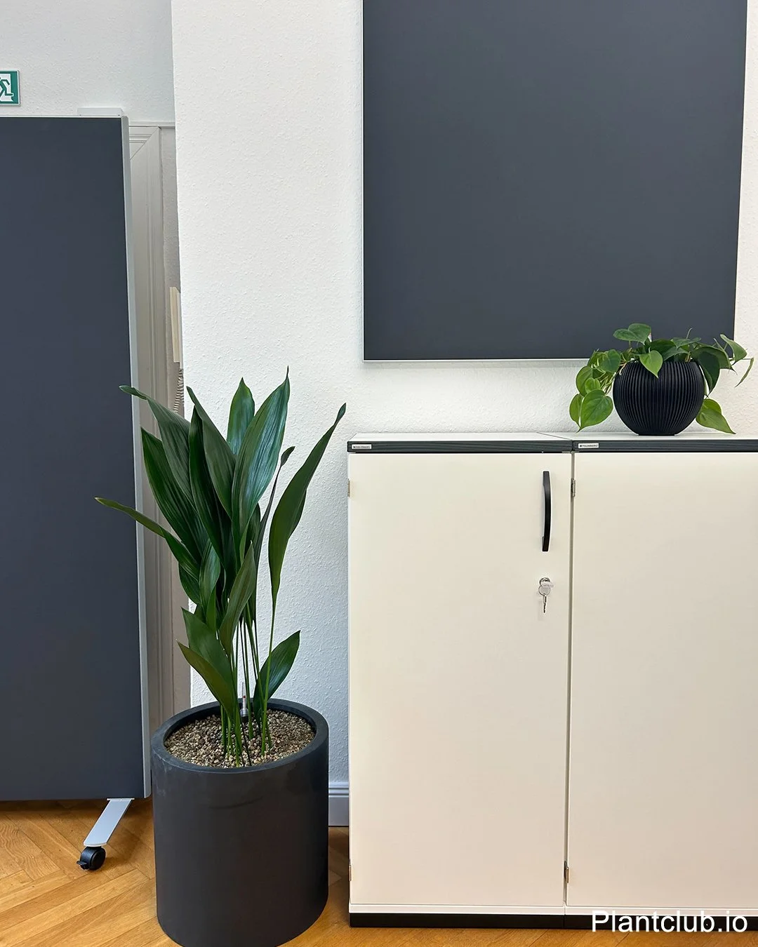  Subtle green touches at ESG Berlin 