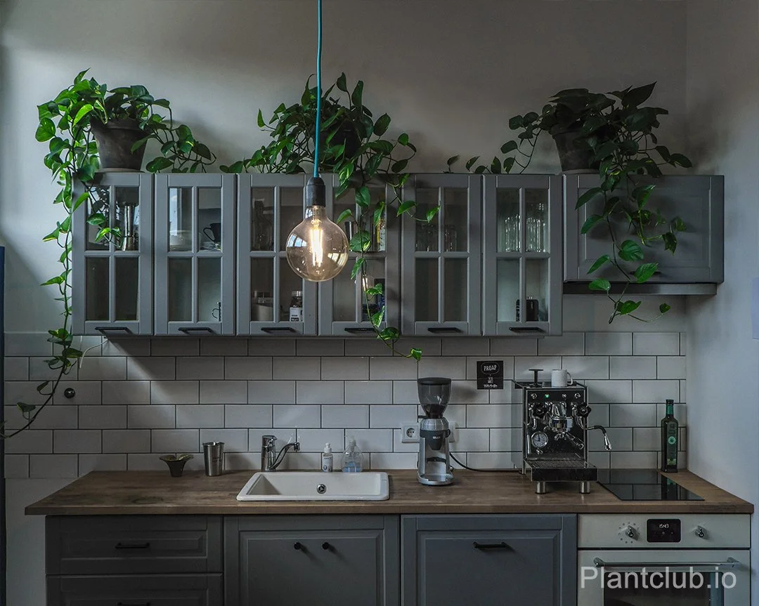  Relax, unwind, and let the green surround you!  