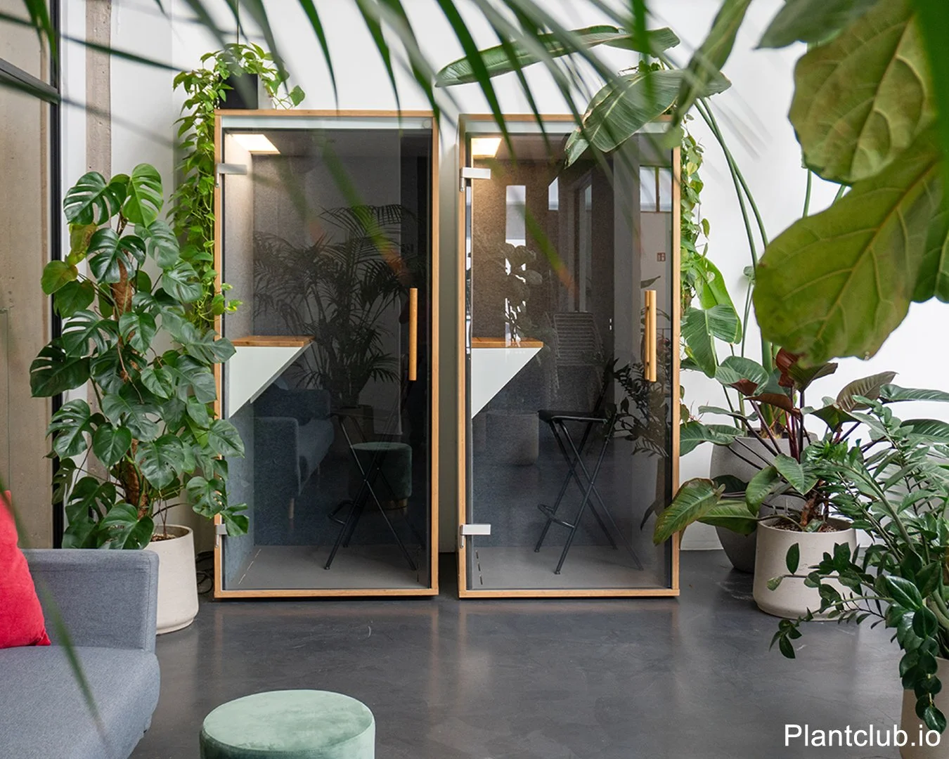  Bring calm and greenery to your workspace with expert plant care. 