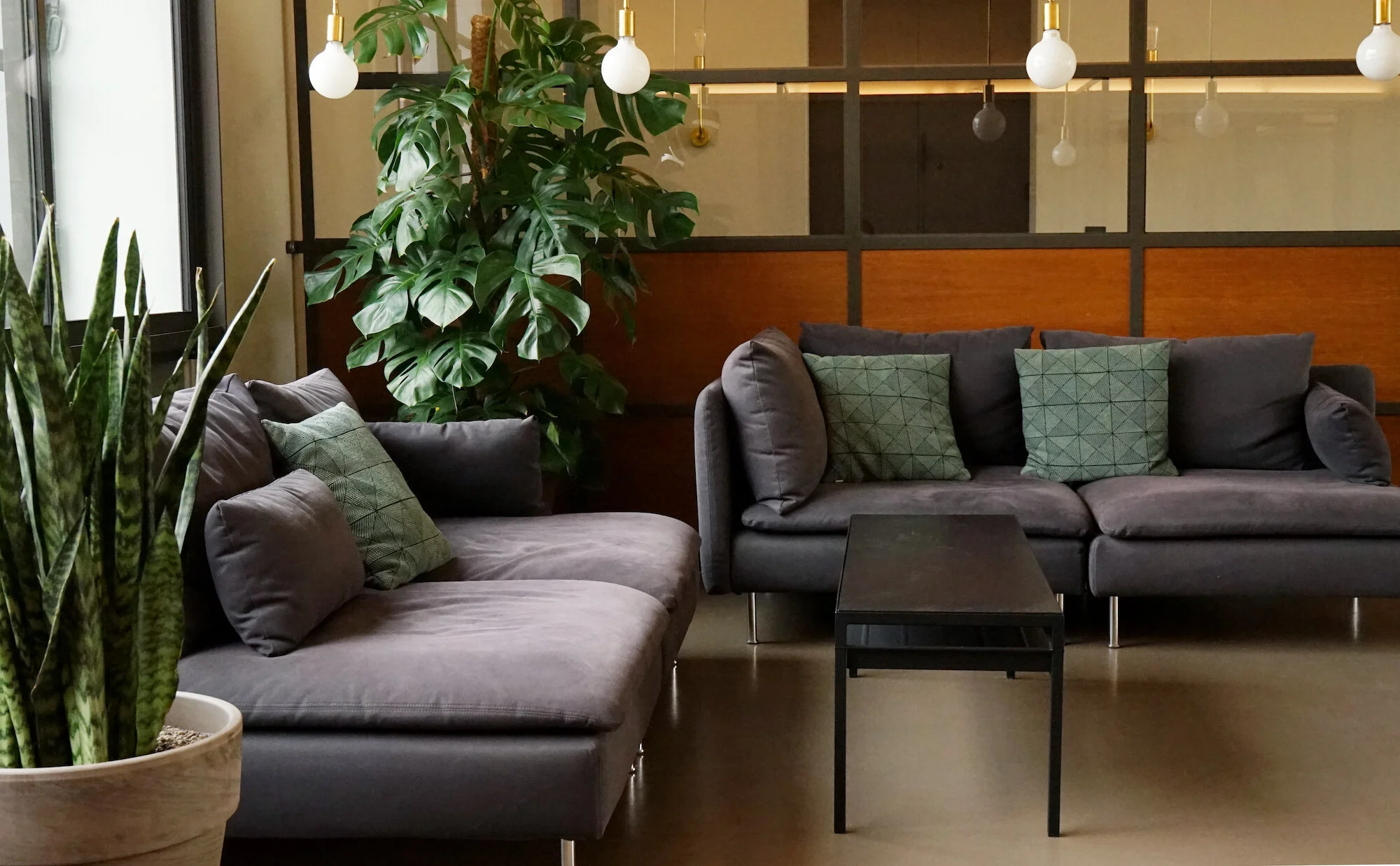 Green workplaces: Moss