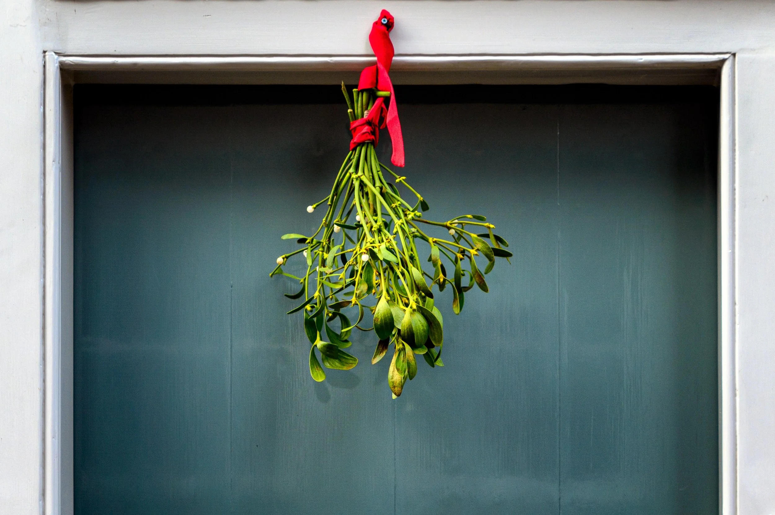  Stealing a kiss under the mistletoe? The tradition comes from not so jolly roots. 
