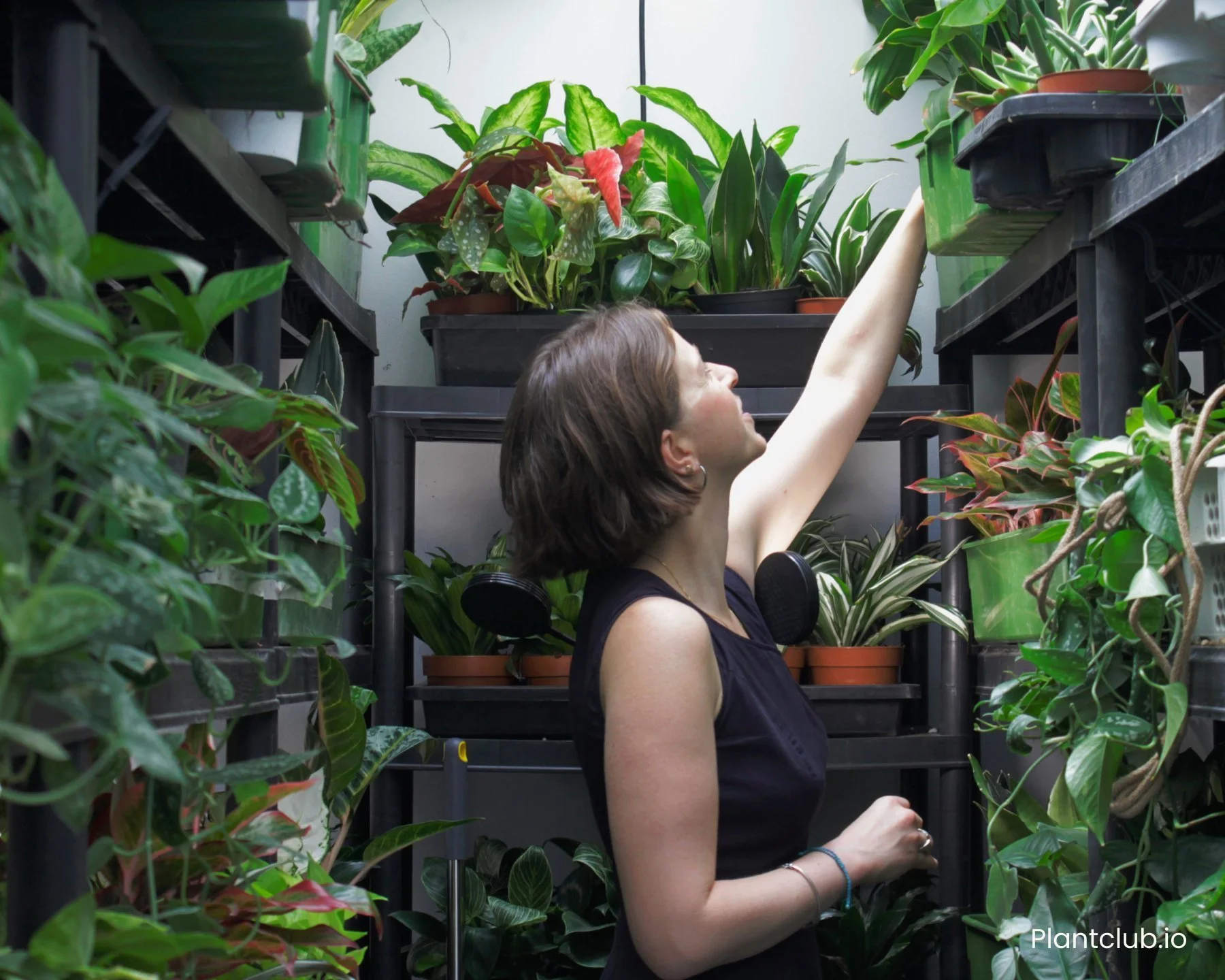 A person selecting plants for an installation in an office
