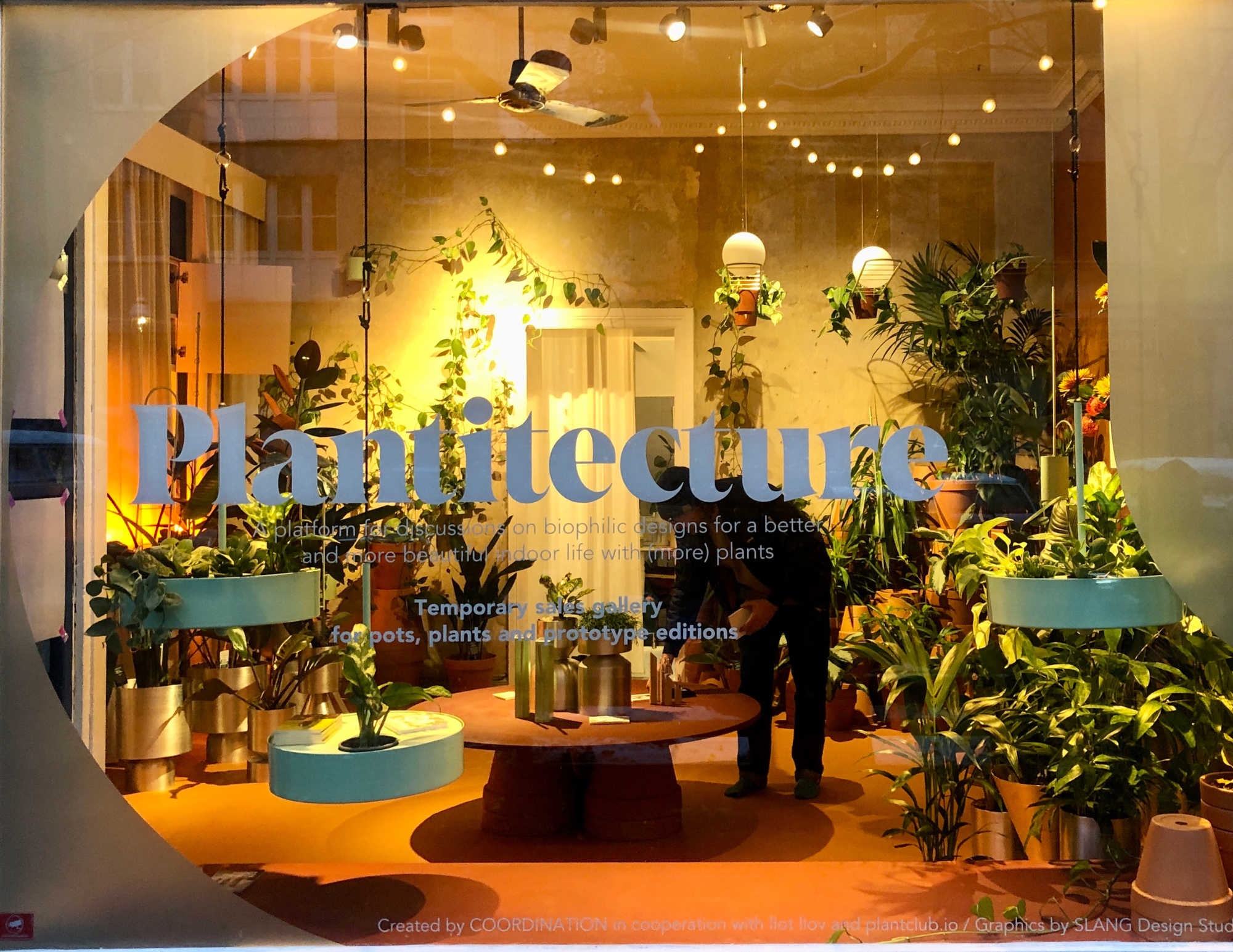   Plantitecture’s showcase inviting into a green paradise.  