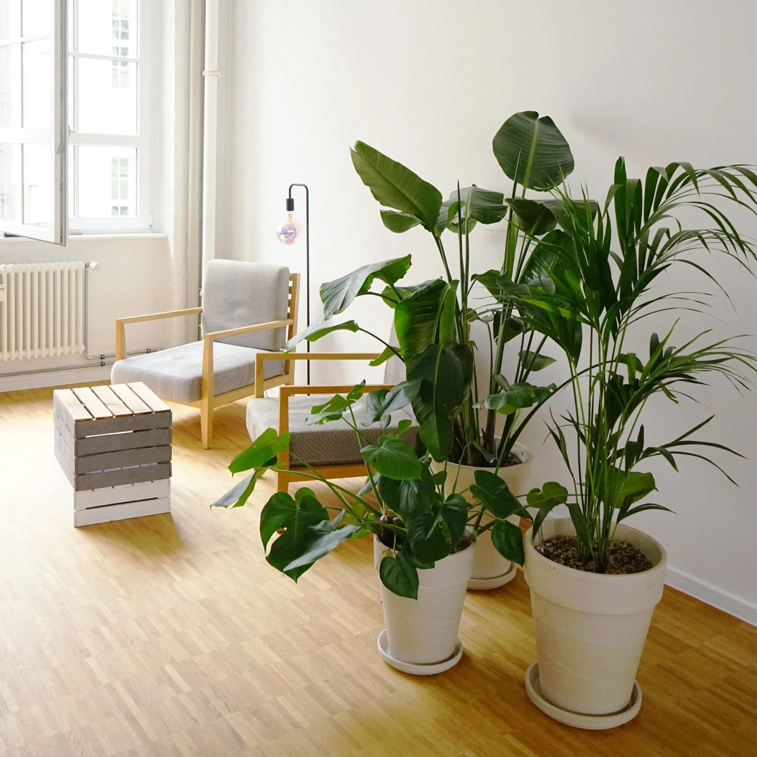  The design focused on creating depth, by placing together plants of different heights. 