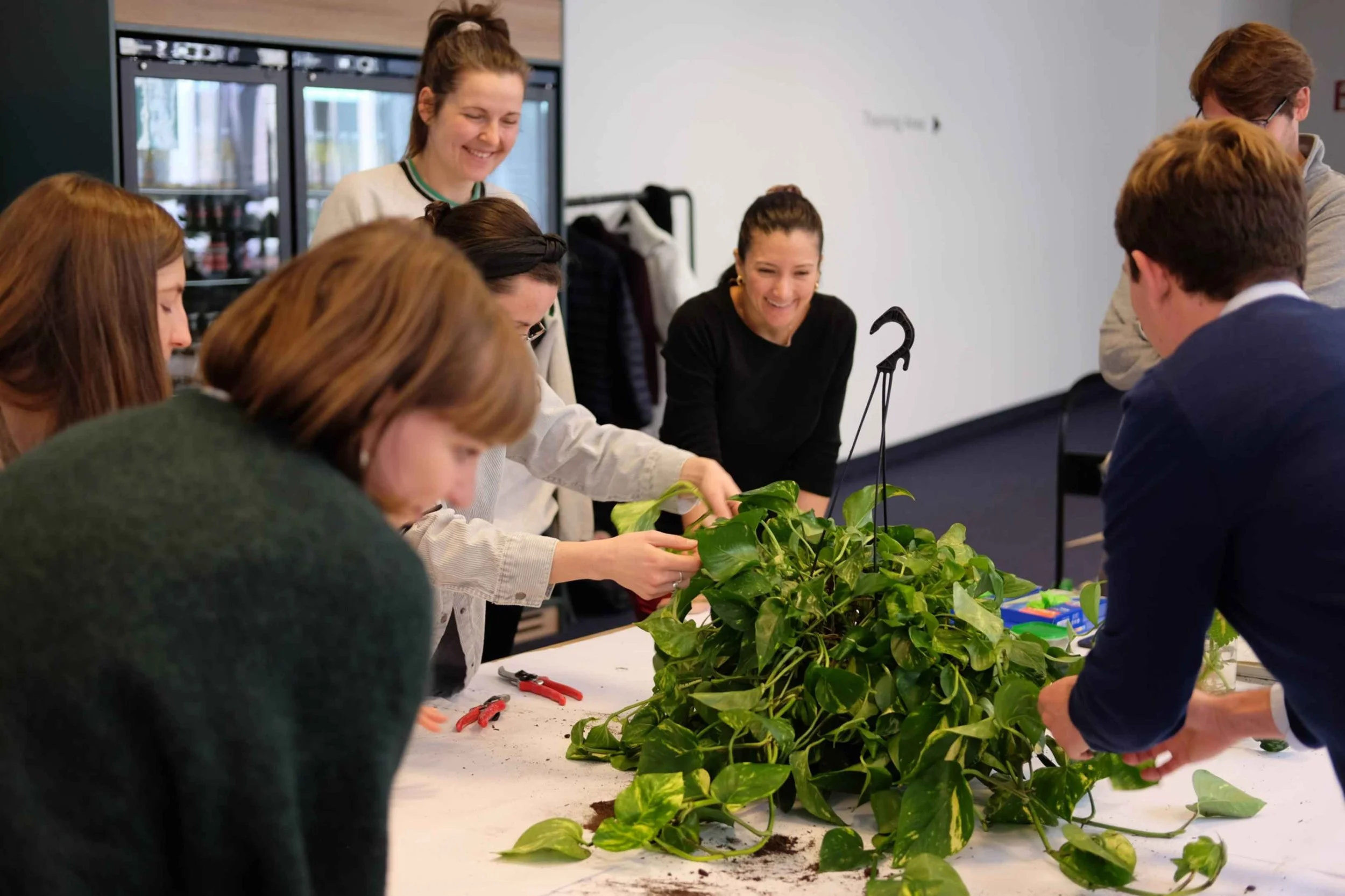  Participants were excited to get their hands into this lush pothos. 