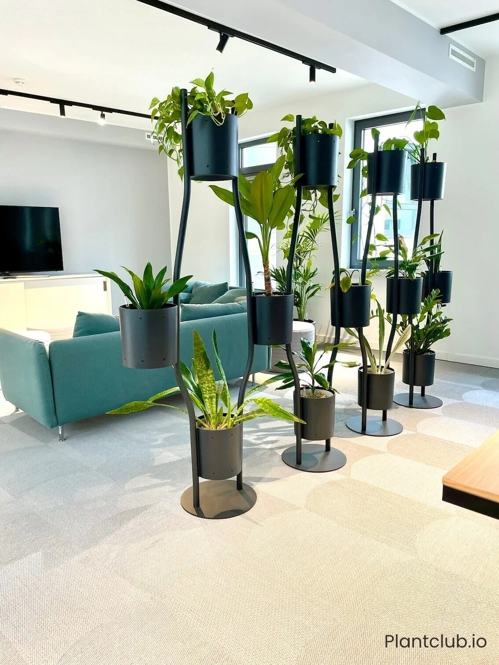  An elegant partition at  Parship's  Hamburg office.  
