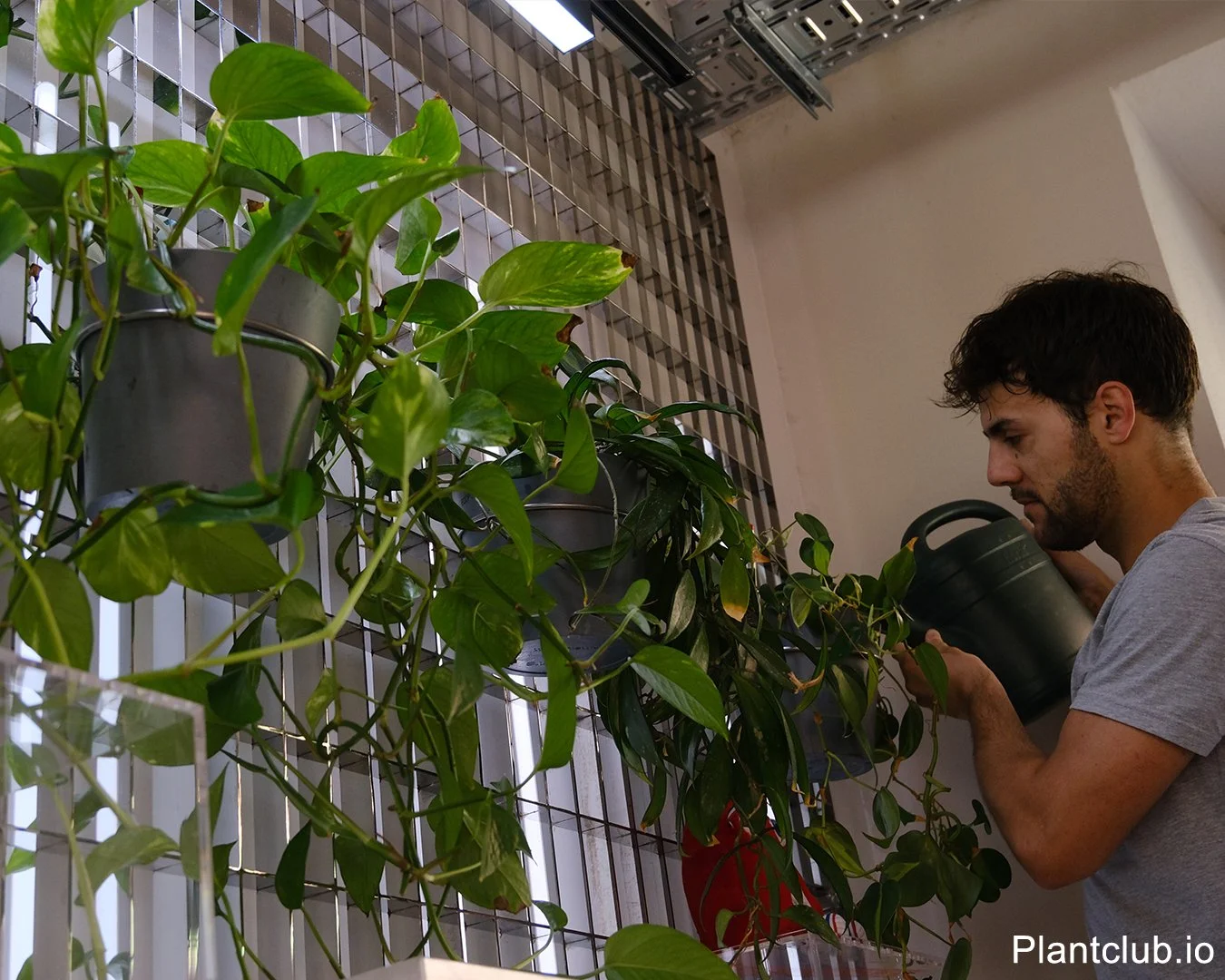🪴 Winter Office Plant Survival Guide: Keep Your Workspace Green