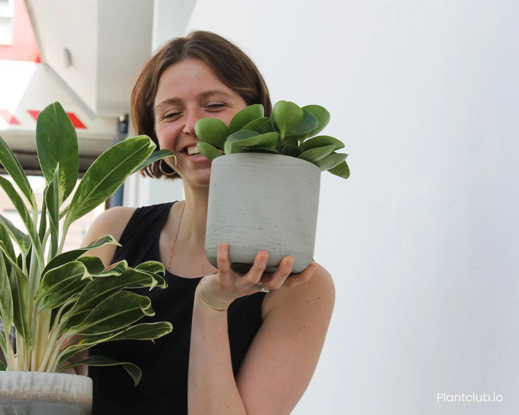 A designer holding small green plants in grey pots