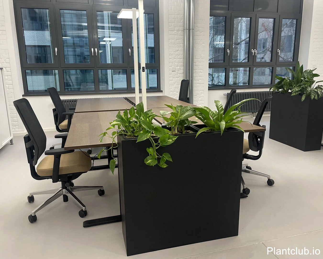 Large planter used as divider in between desks