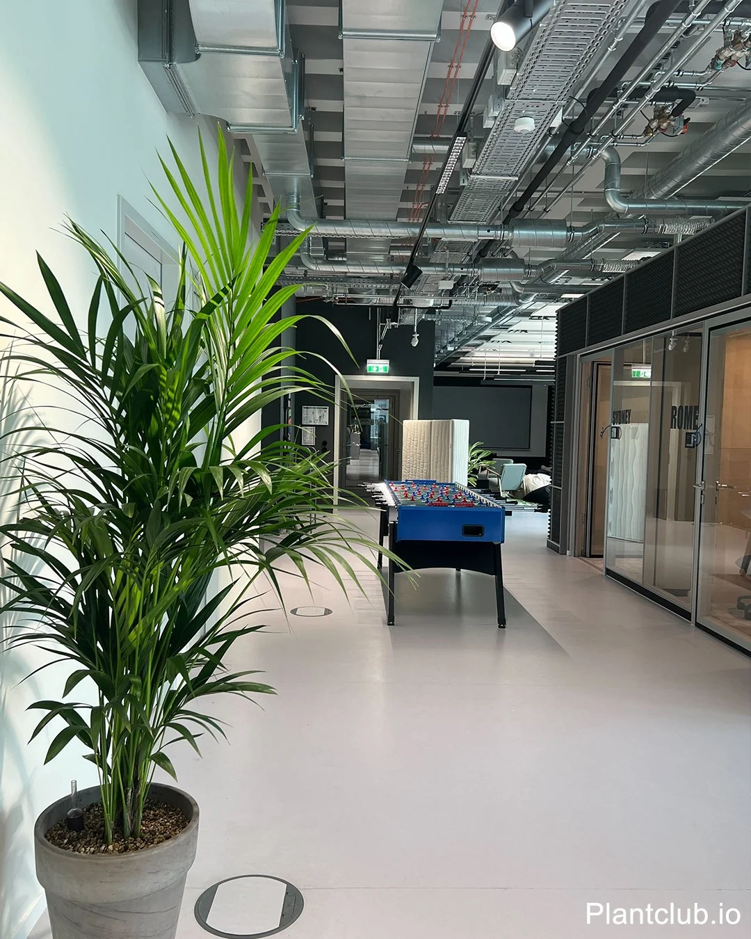  Vibrant greenery at Almedia Berlin 