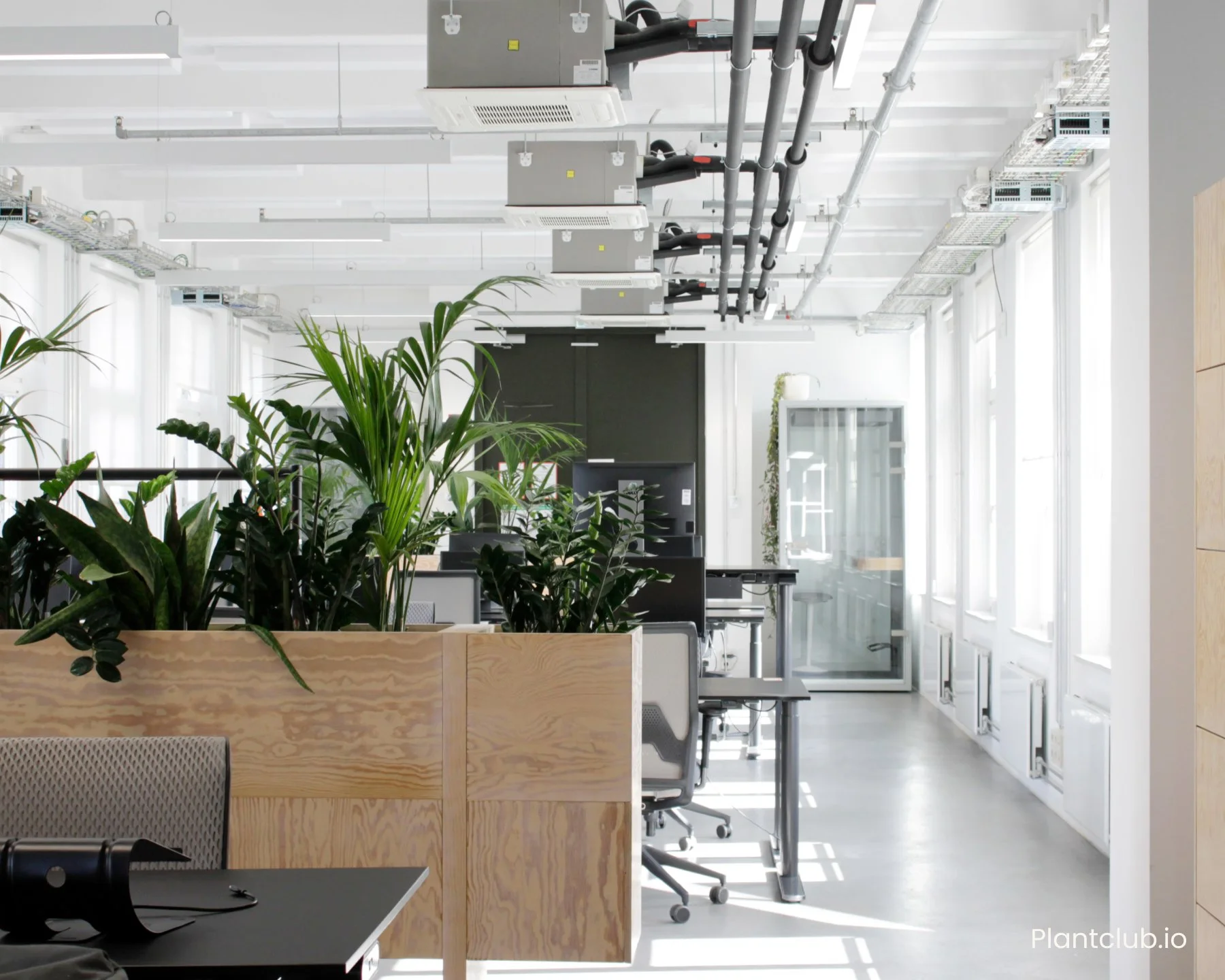   Plantclub’s Green Workplace transformation at the Berlin headquarters of GetYourGuide.  