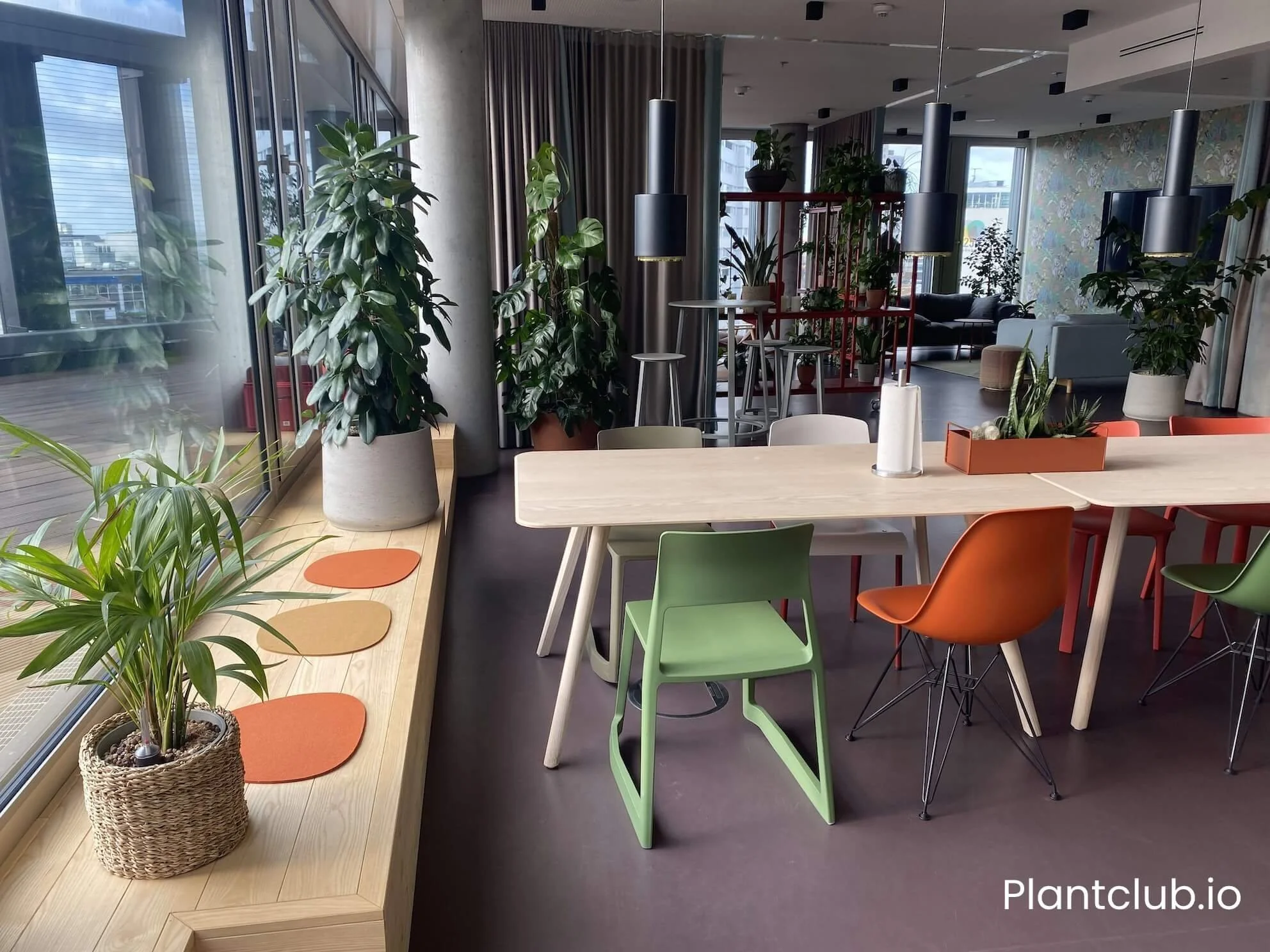 Potted plants stand next to a window and colorful chairs at the Cushman & Wakefield office in Berlin