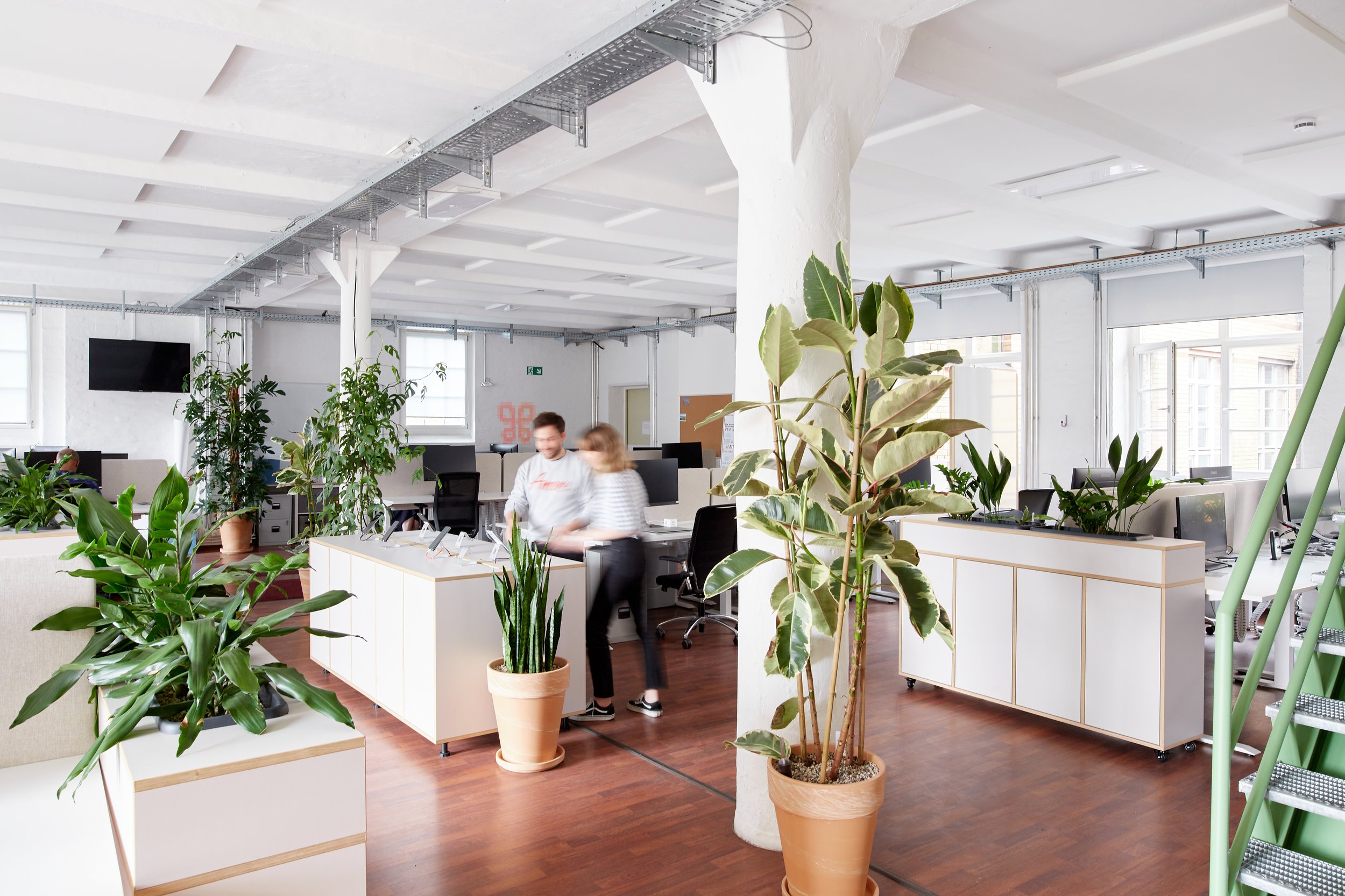  A look at a project, on which Studio Vale & Plantclub worked together. Photo by  Sebastian Dörkin.  