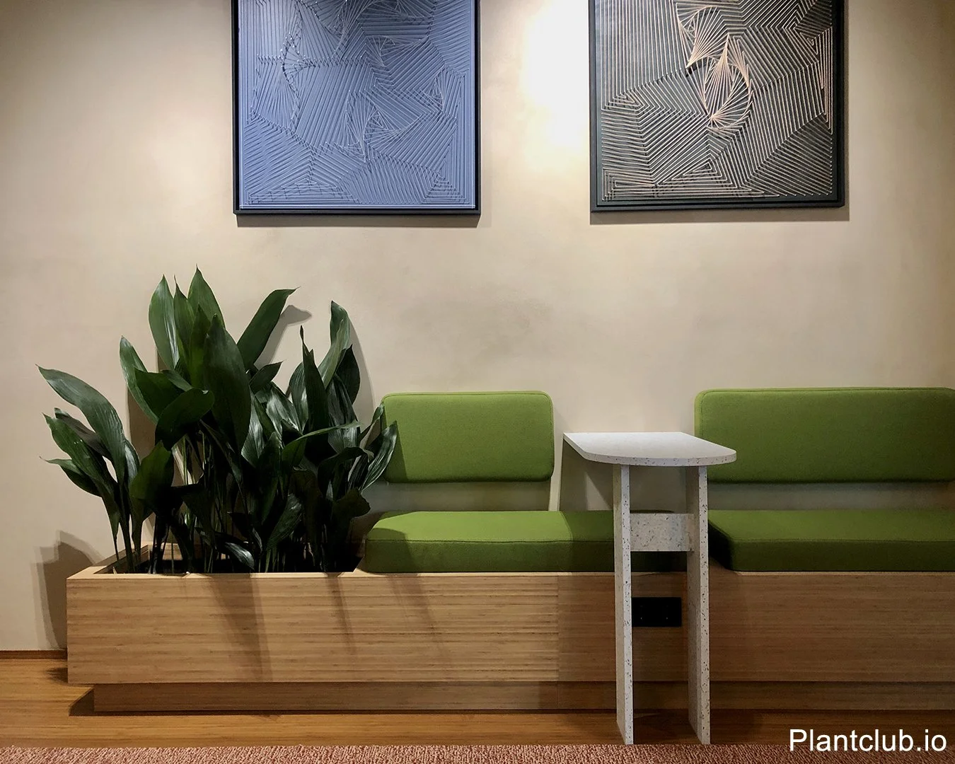 Green Workplaces That Grow With You: The Plantclub Way