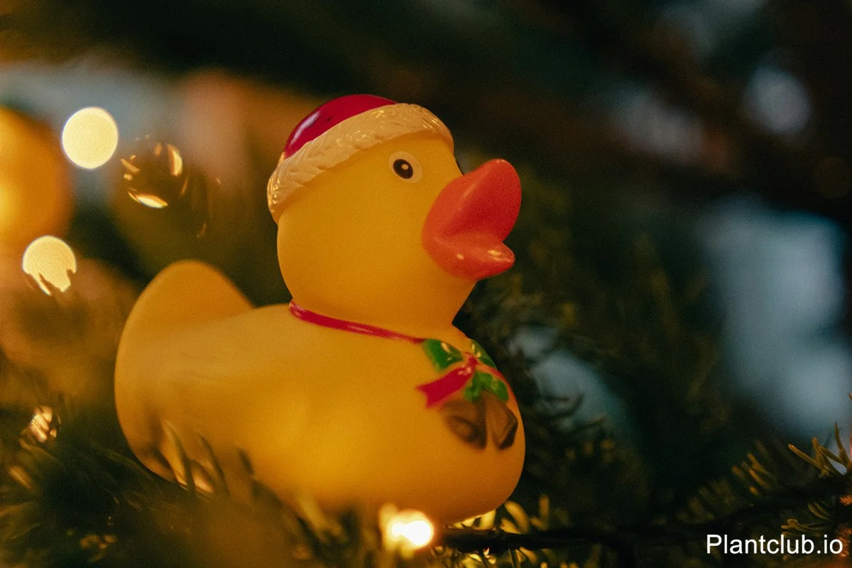  Sparkle, shine, and holiday vibes. 