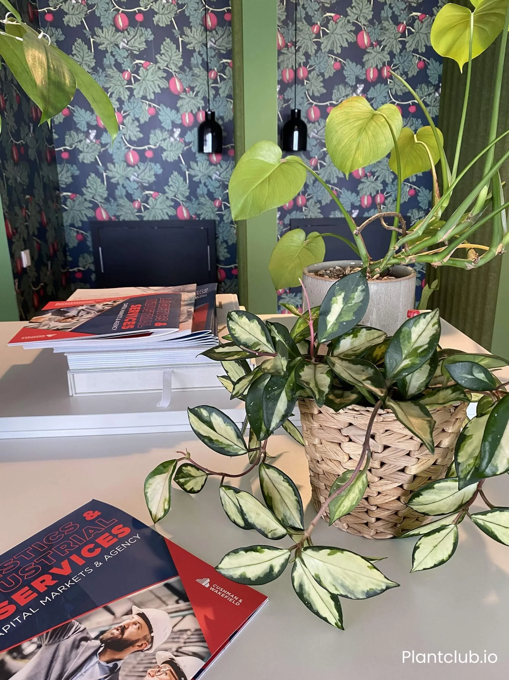 Potted plan in a basket next to a catalogue at the Cushman & Wakefield office in Berlin