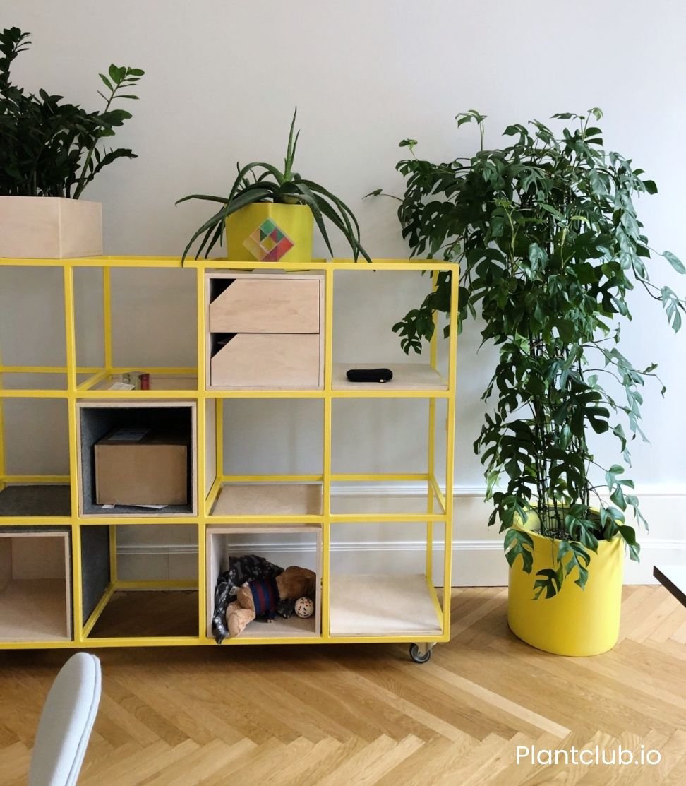   Intermate Berlin office.   