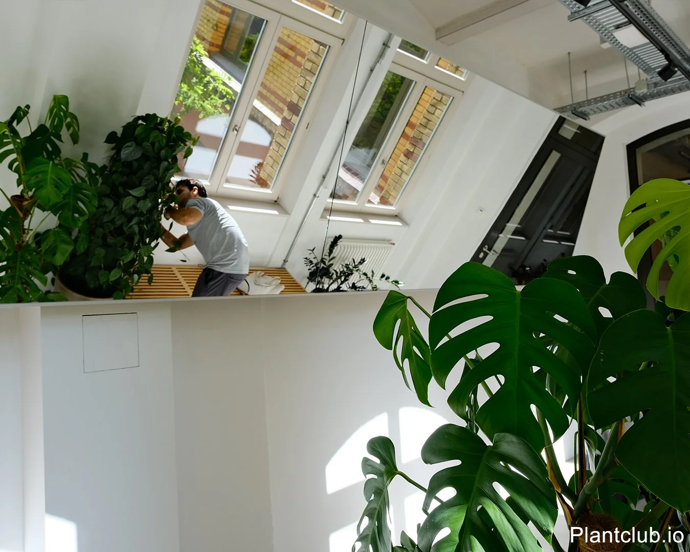  Adapting our care as the light shifts - because every plant’s needs are unique. 