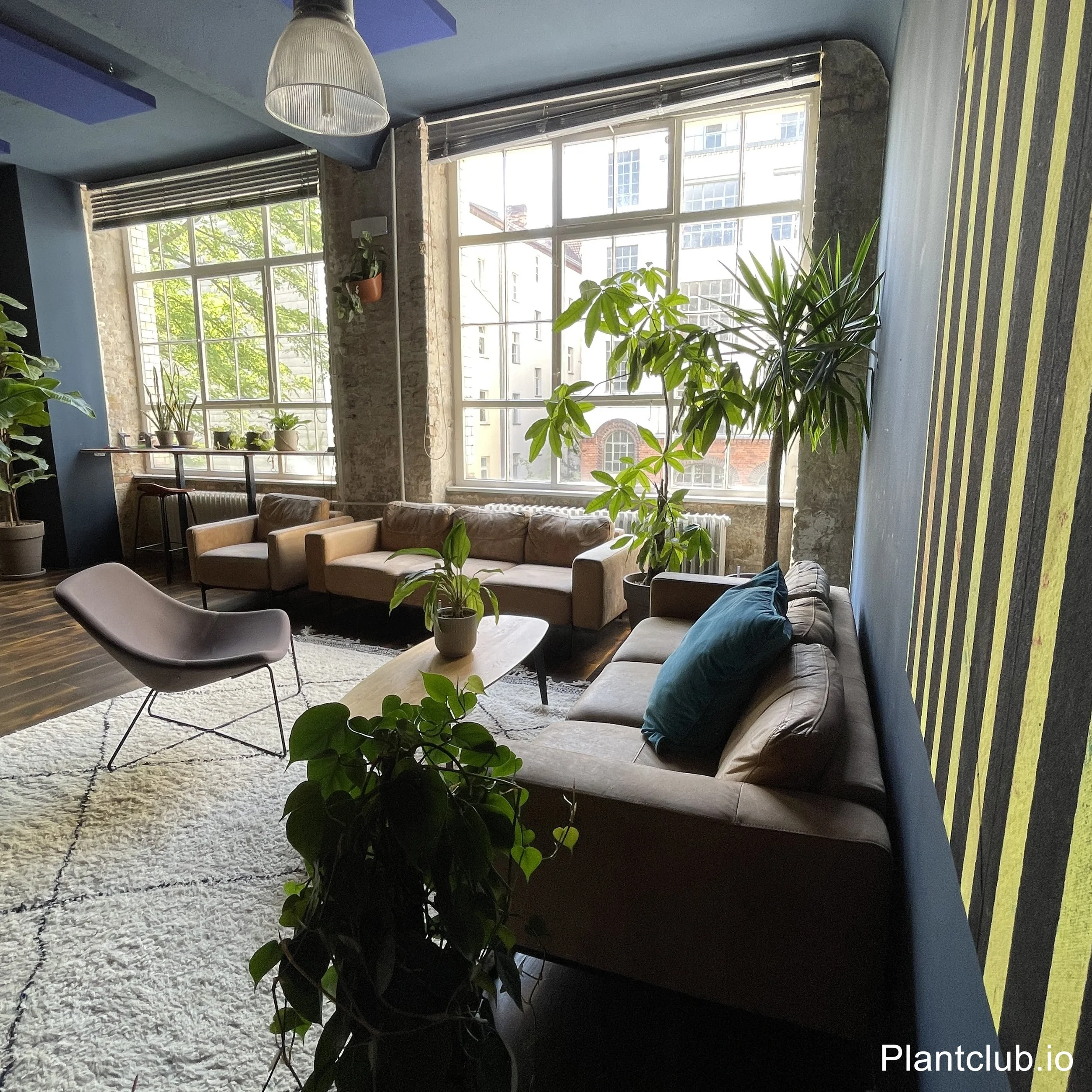  Office Wellness Plants – A Green Space for Relaxation at Ultimate.ai 