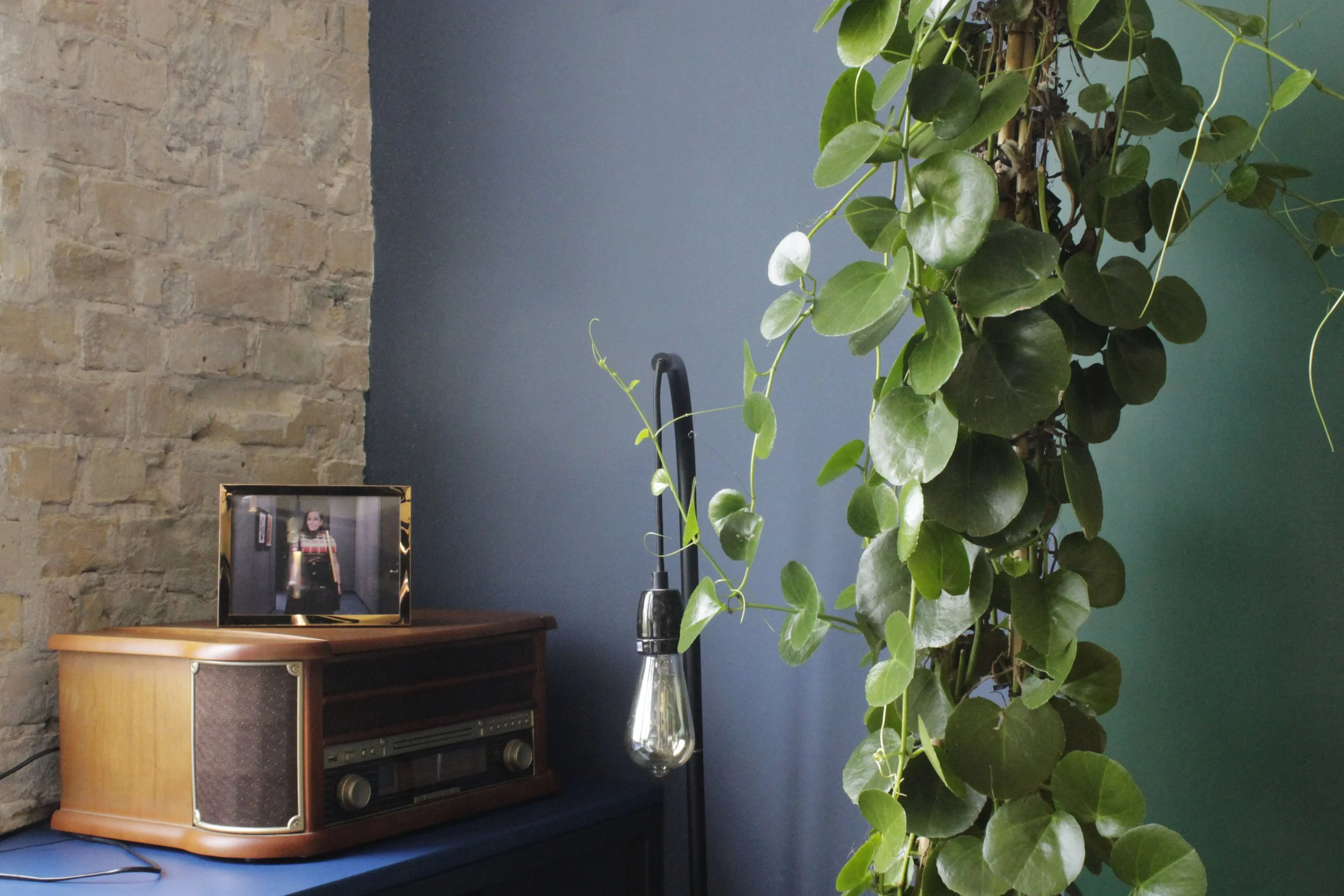  Pops of color, via pots or walls, was a major design feature at Intermate Berlin. 